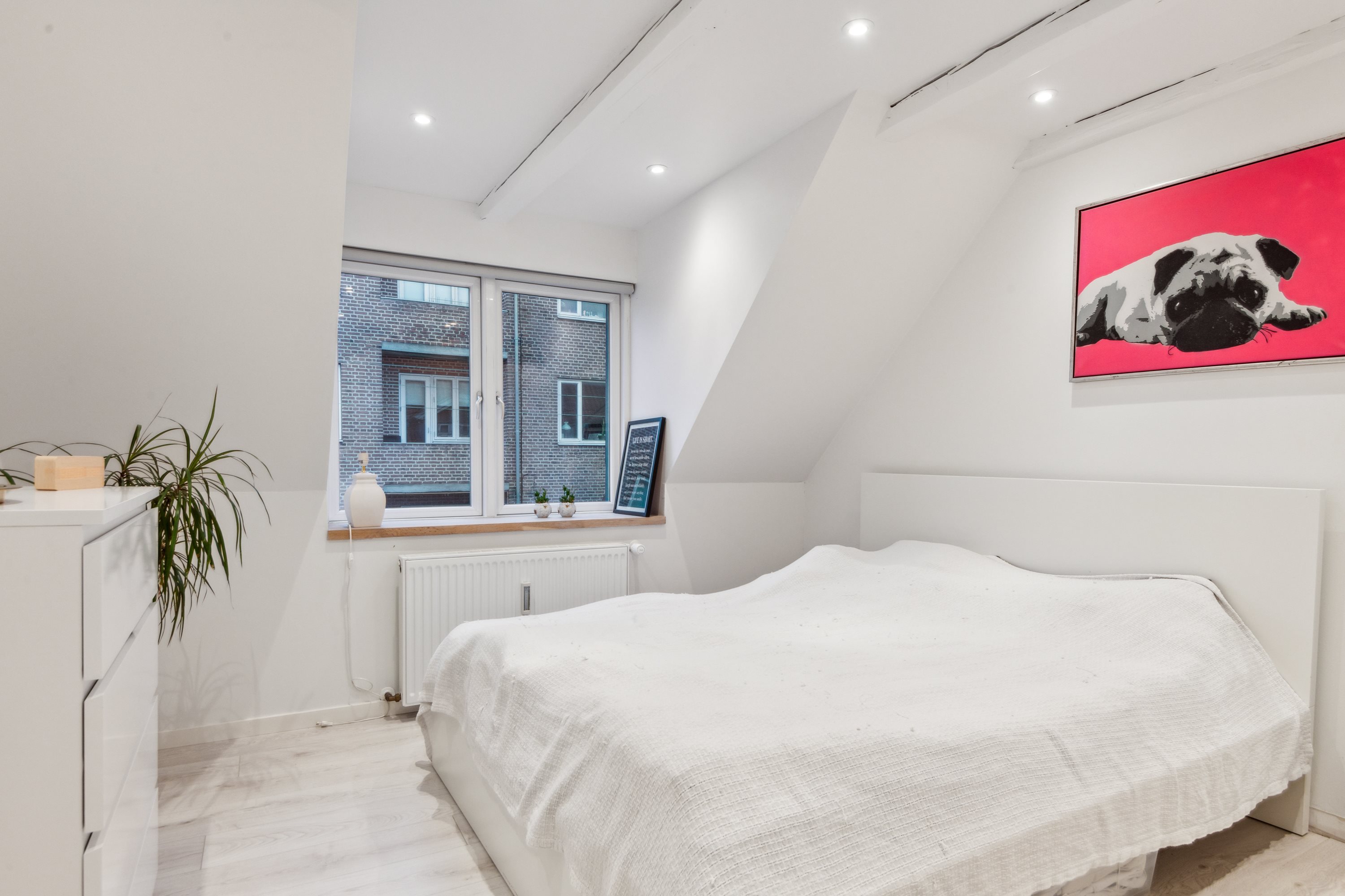 Fremhævet værelse billede i fuldskærmstilstand. Billede af Absalonsgade 20, 2., 9000 Aalborg