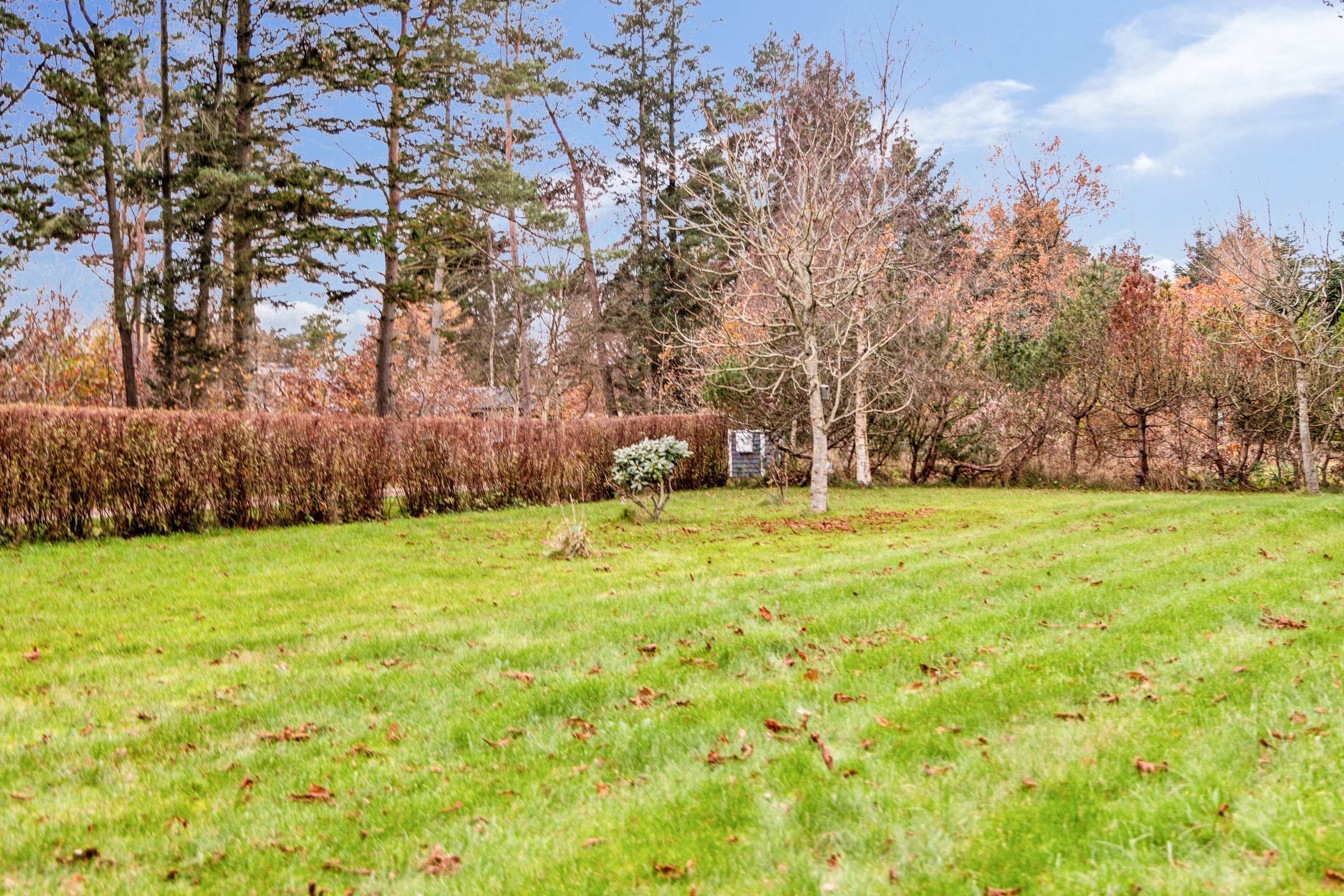 Fremhævet have billede i fuldskærmstilstand. Billede af Lille Strandgaard 7, 9370 Hals