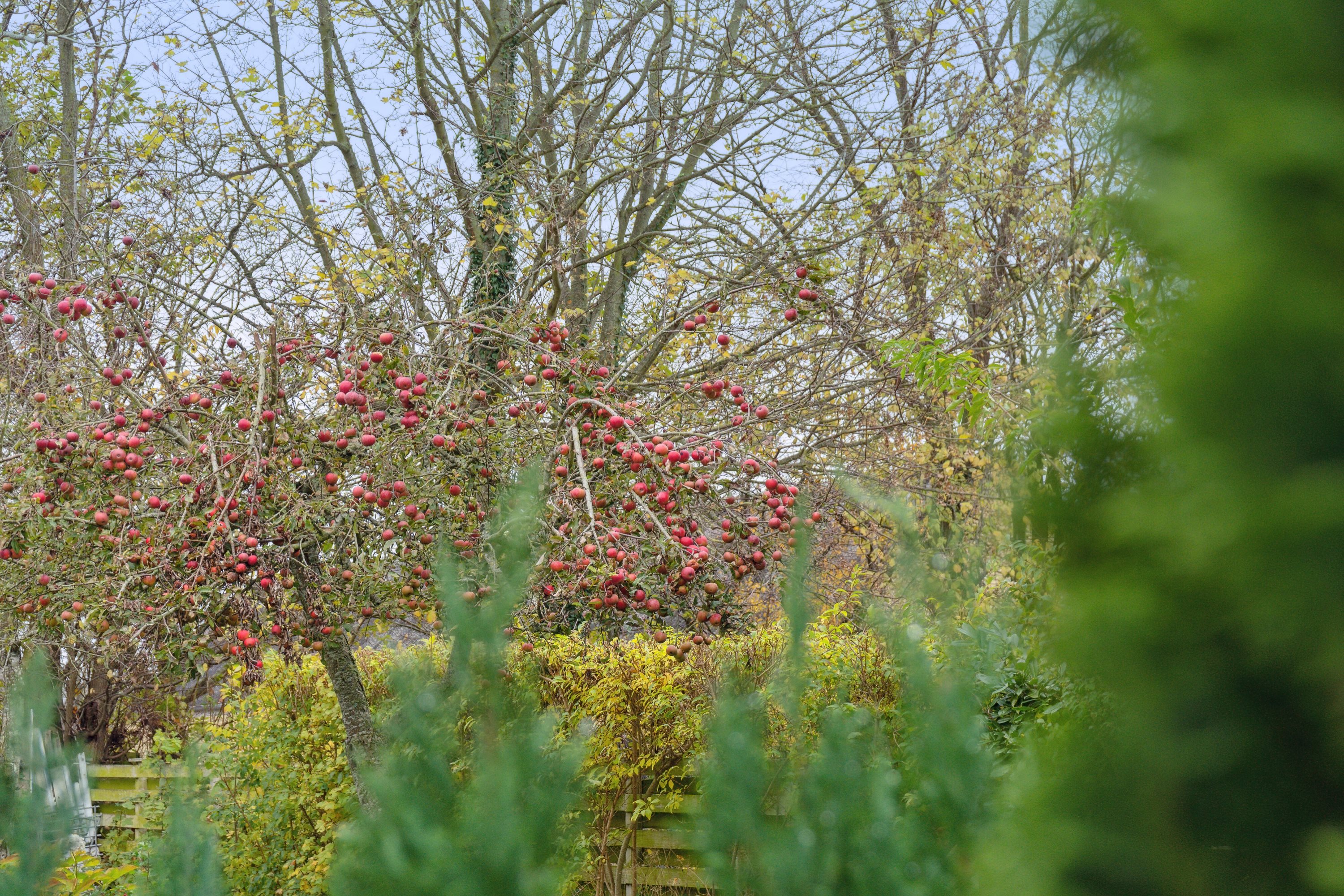Fremhævet udendørs billede i fuldskærmstilstand. Billede af Udbyvej 53, Udby, 4300 Holbæk