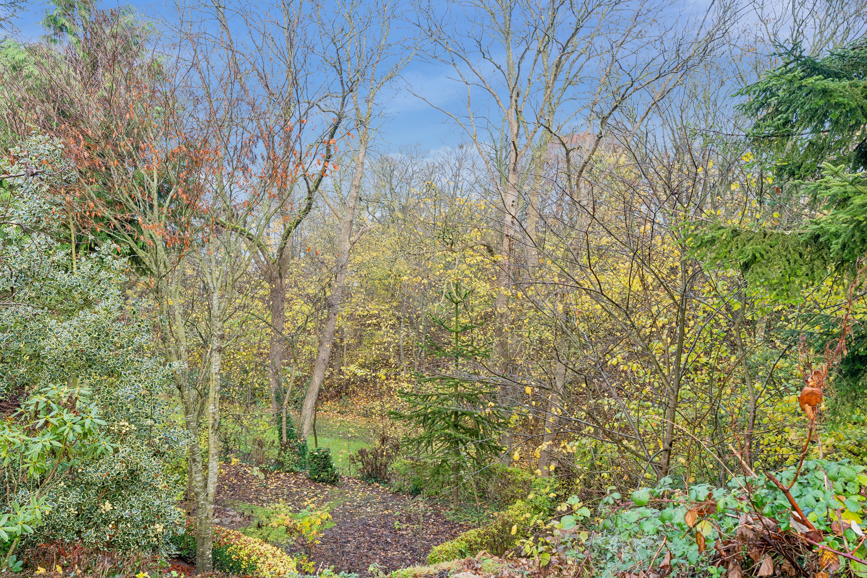 Fremhævet grund billede i fuldskærmstilstand. Billede af Salbakken 21, Hald, 8983 Gjerlev J