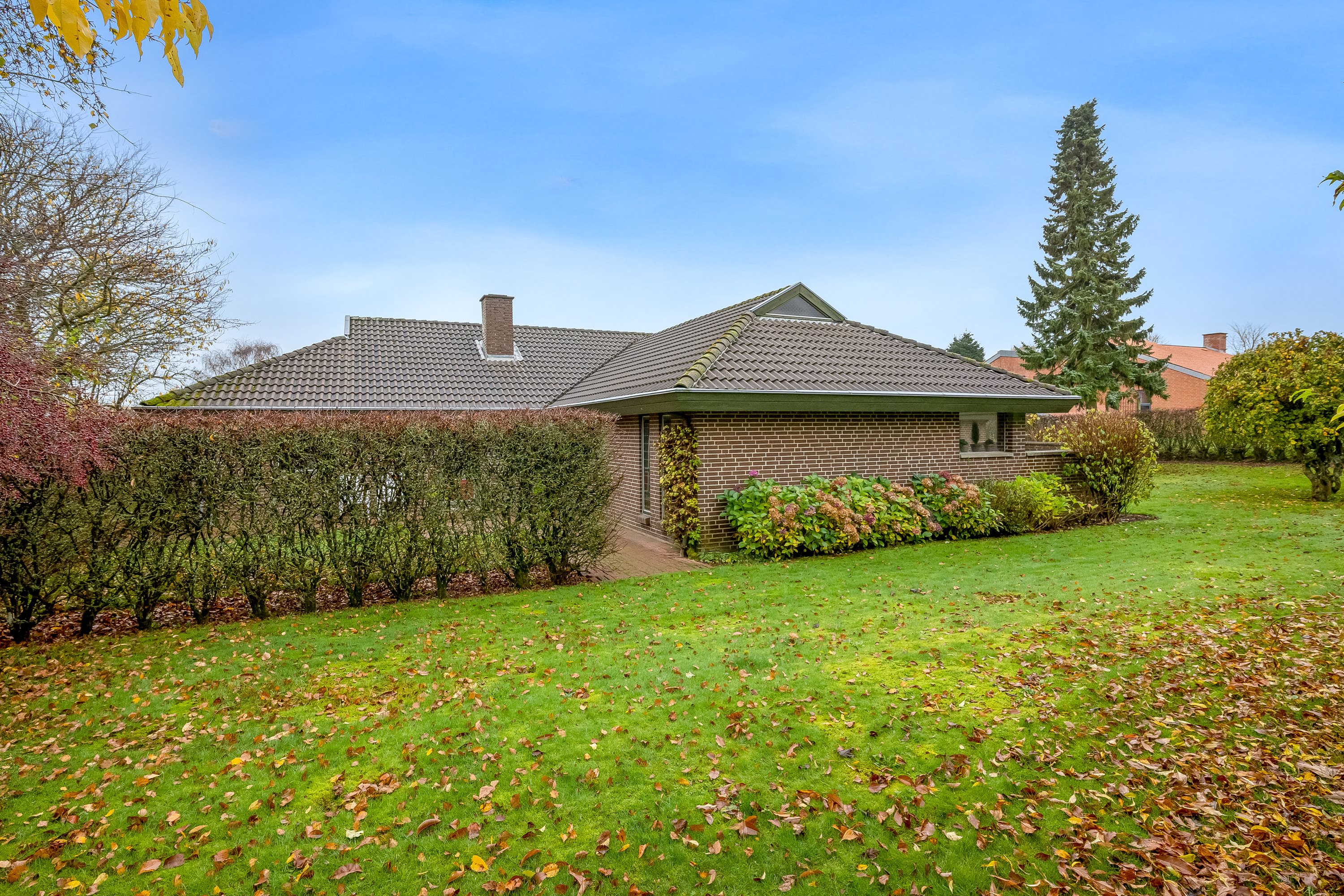 Fremhævet have billede i fuldskærmstilstand. Billede af Kobberupvej 189, Mejrup, 7500 Holstebro