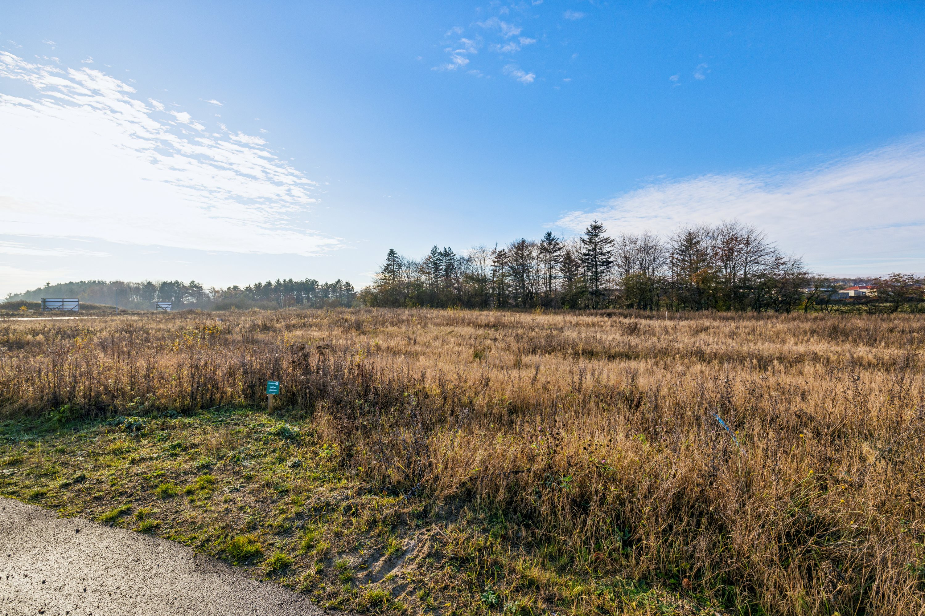 Miniaturebillede 1: grund. Billede af Skæret 1, 8800 Viborg