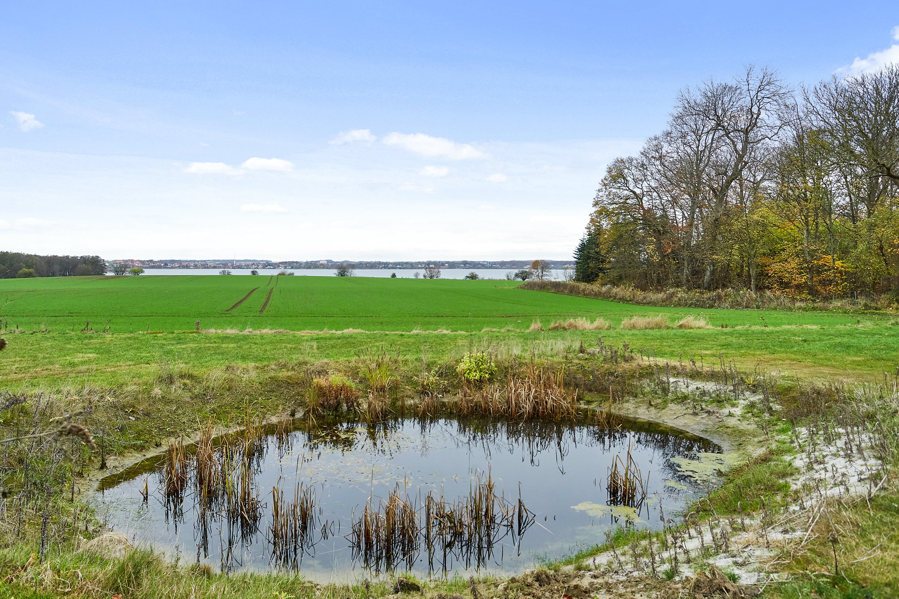 Fremhævet  billede i fuldskærmstilstand. Billede af Boller Slotsvej 28, 8700 Horsens