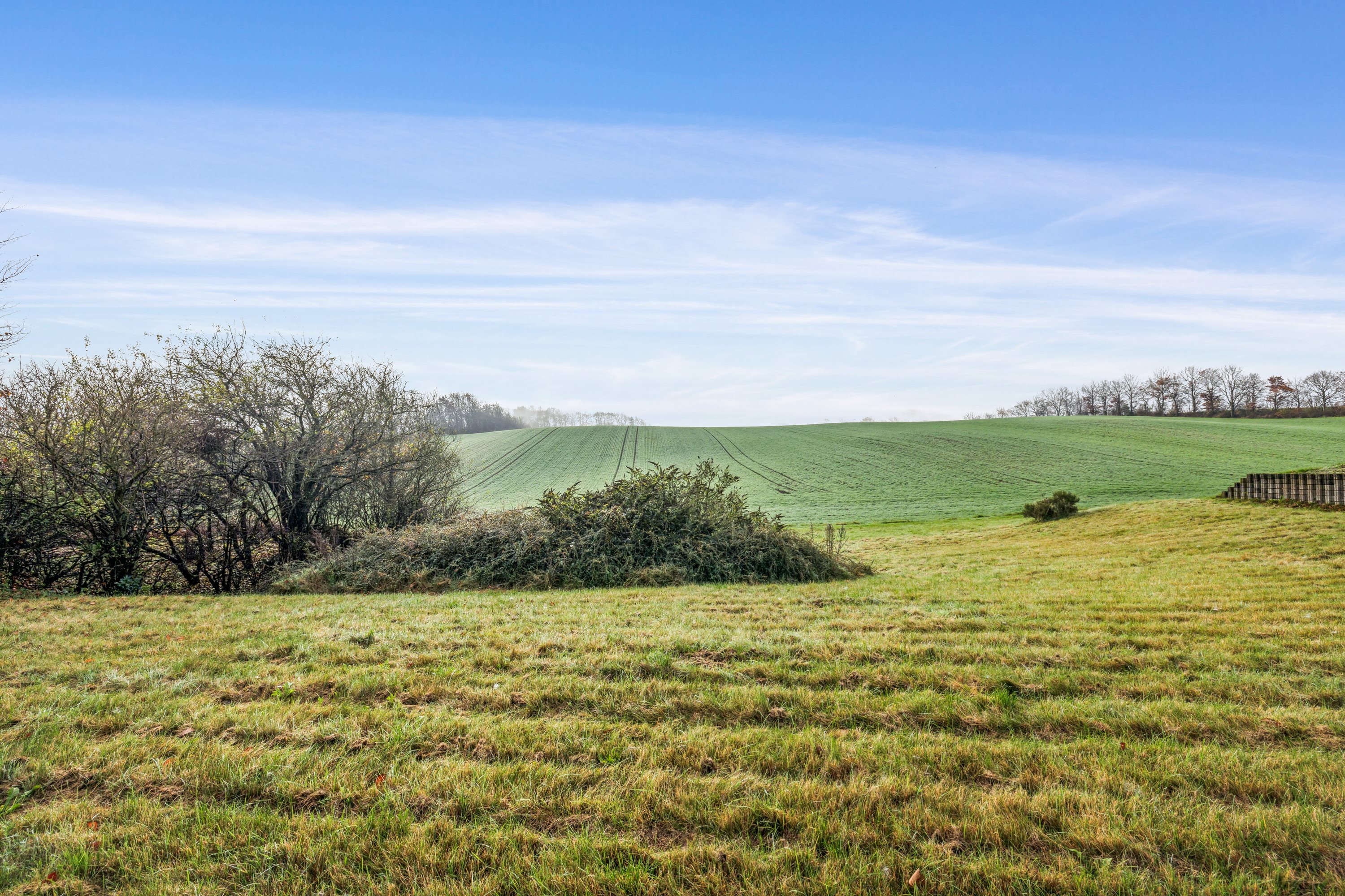 Fremhævet have billede i fuldskærmstilstand. Billede af Udsigten 7, 7850 Stoholm Jyll