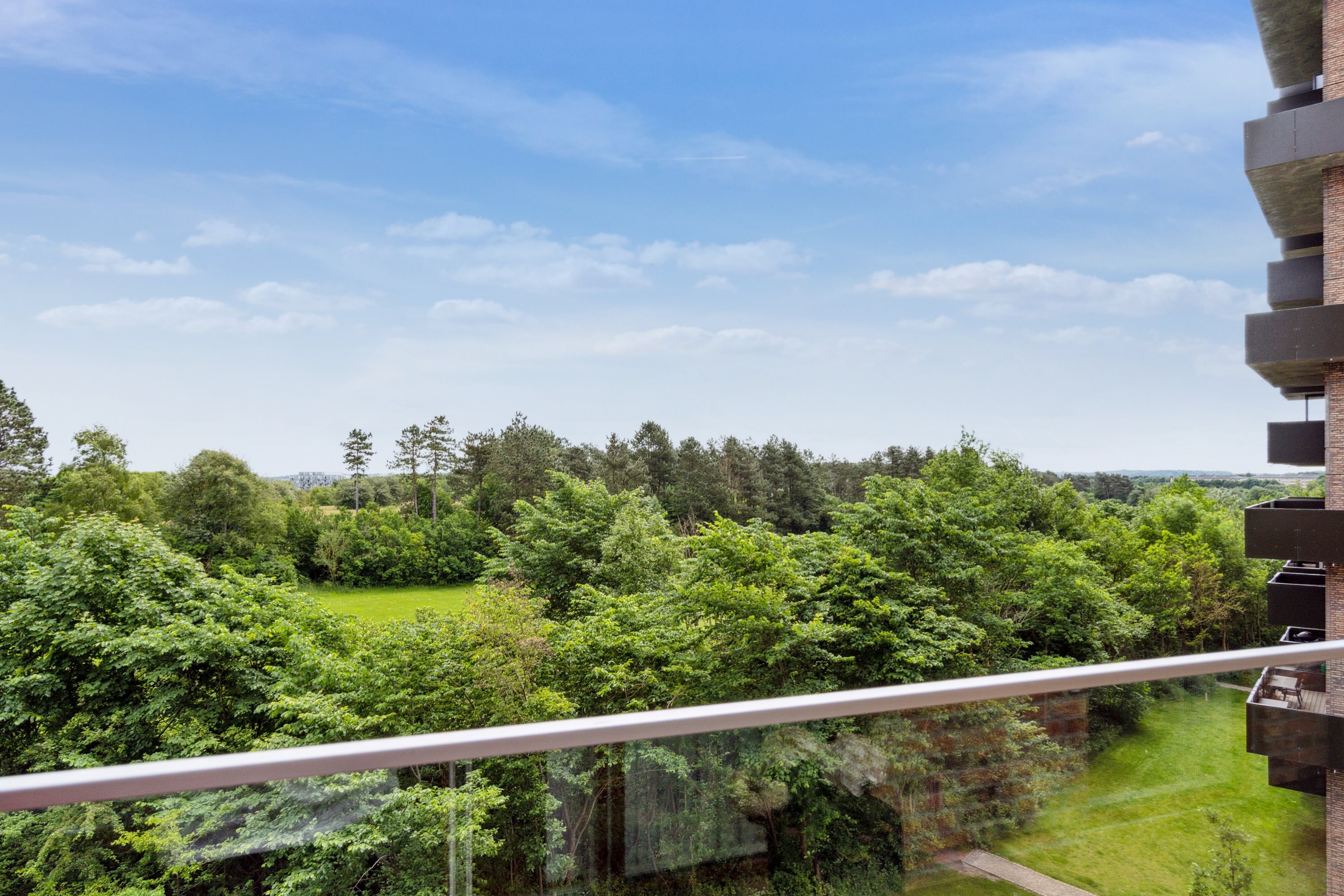 Fremhævet  billede i fuldskærmstilstand. Billede af Egeparken 3, 4. 4., 9000 Aalborg