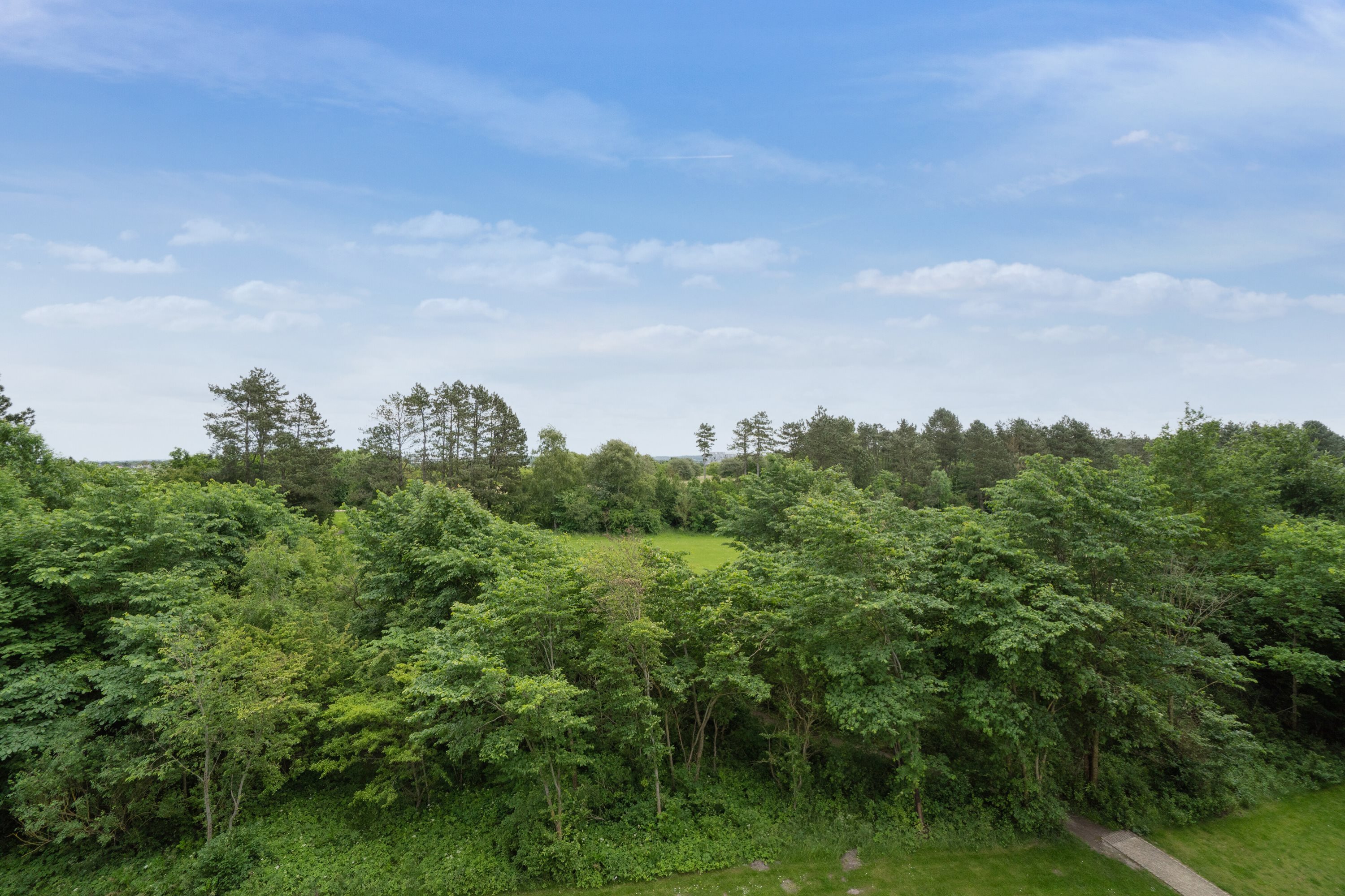 Fremhævet  billede i fuldskærmstilstand. Billede af Egeparken 3, 4. 4., 9000 Aalborg