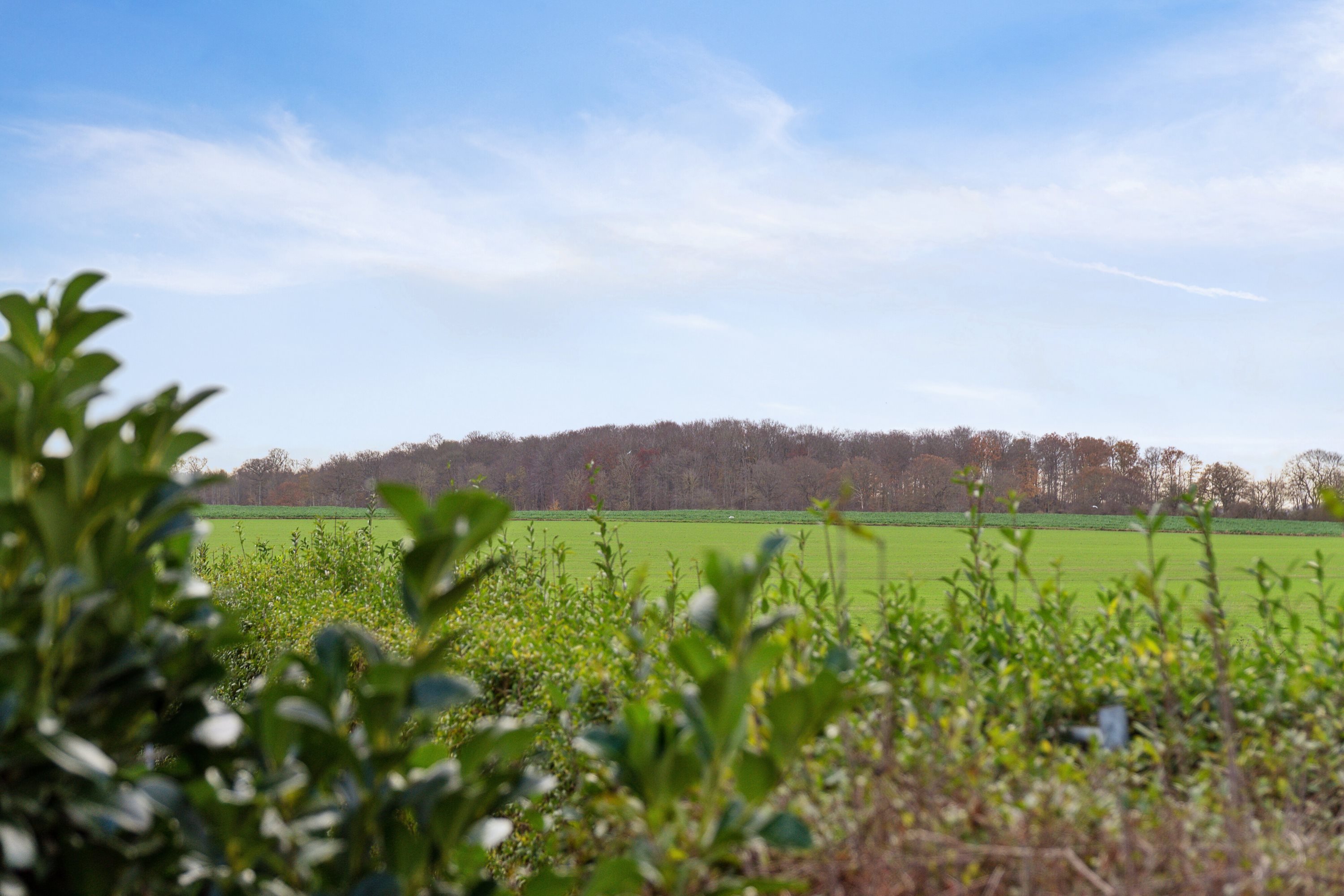 Miniaturebillede 1: udsigt. Billede af Trønninge By 16, 4420 Regstrup