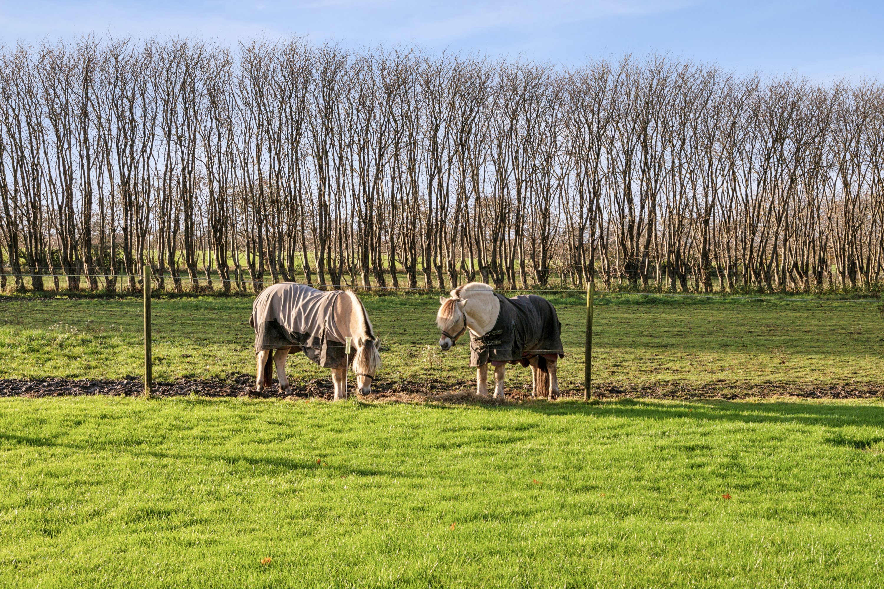 Fremhævet set fra haven billede i fuldskærmstilstand. Billede af Søst Markvej 5, Søst, 6230 Rødekro