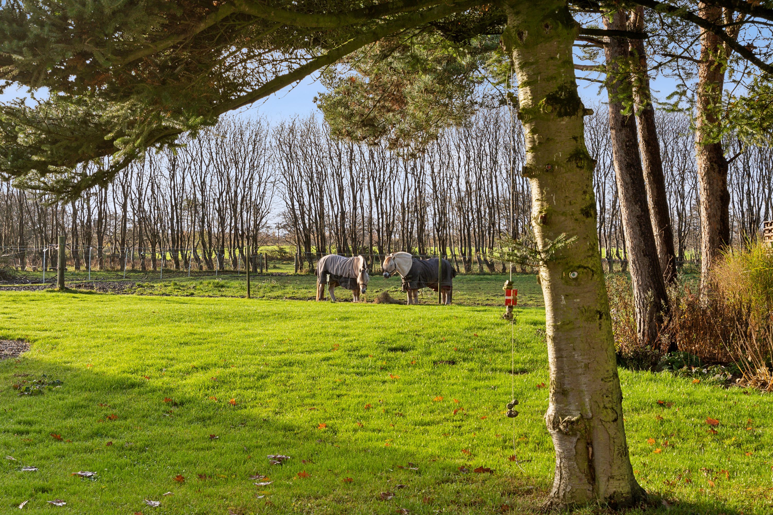 Fremhævet udendørs billede i fuldskærmstilstand. Billede af Søst Markvej 5, Søst, 6230 Rødekro