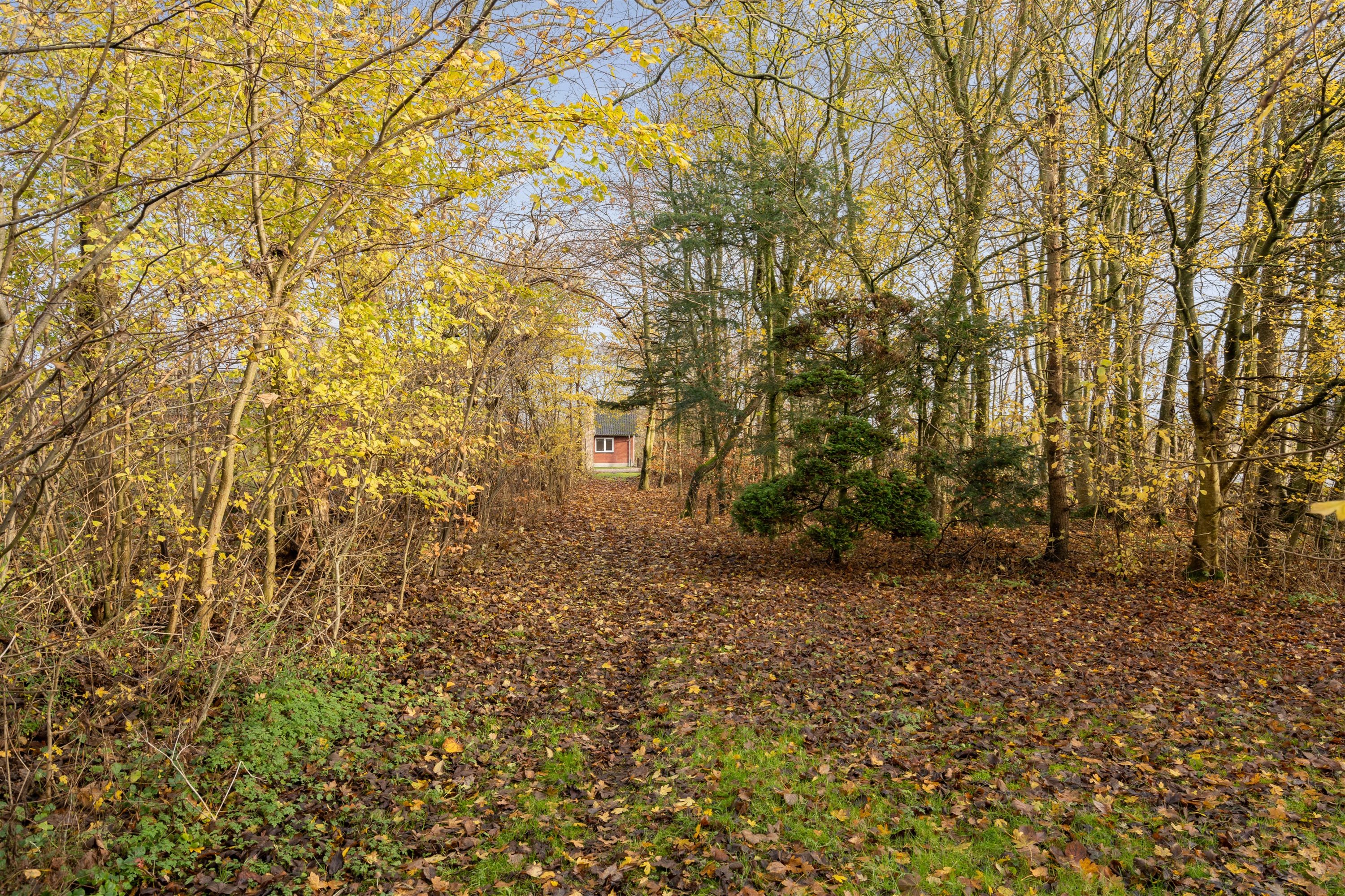 Fremhævet ejendommen billede i fuldskærmstilstand. Billede af Vejlevej 53, Hodde, 6862 Tistrup