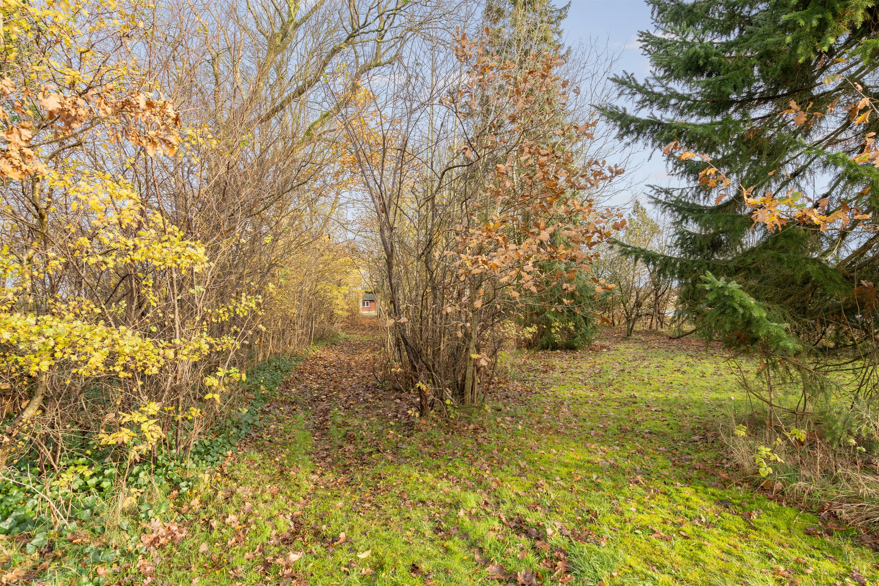 Fremhævet ejendommen billede i fuldskærmstilstand. Billede af Vejlevej 53, Hodde, 6862 Tistrup