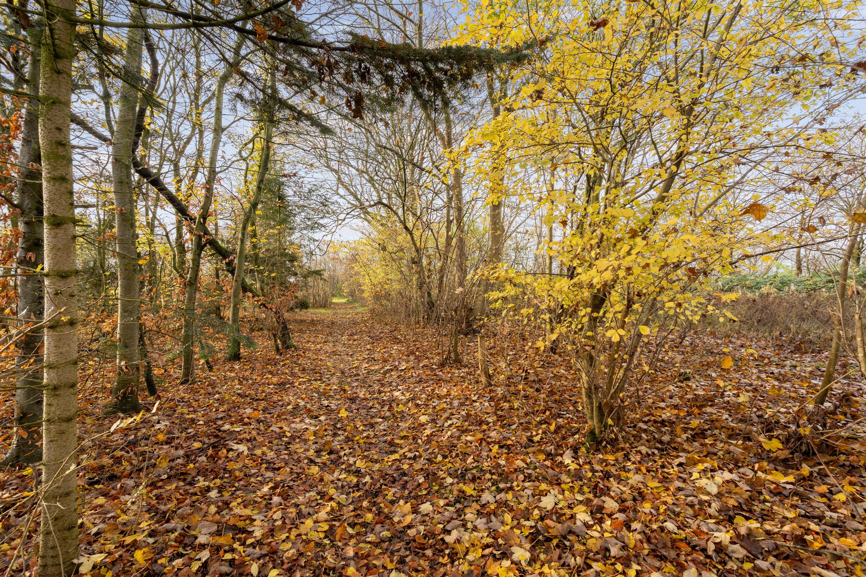Fremhævet ejendommen billede i fuldskærmstilstand. Billede af Vejlevej 53, Hodde, 6862 Tistrup