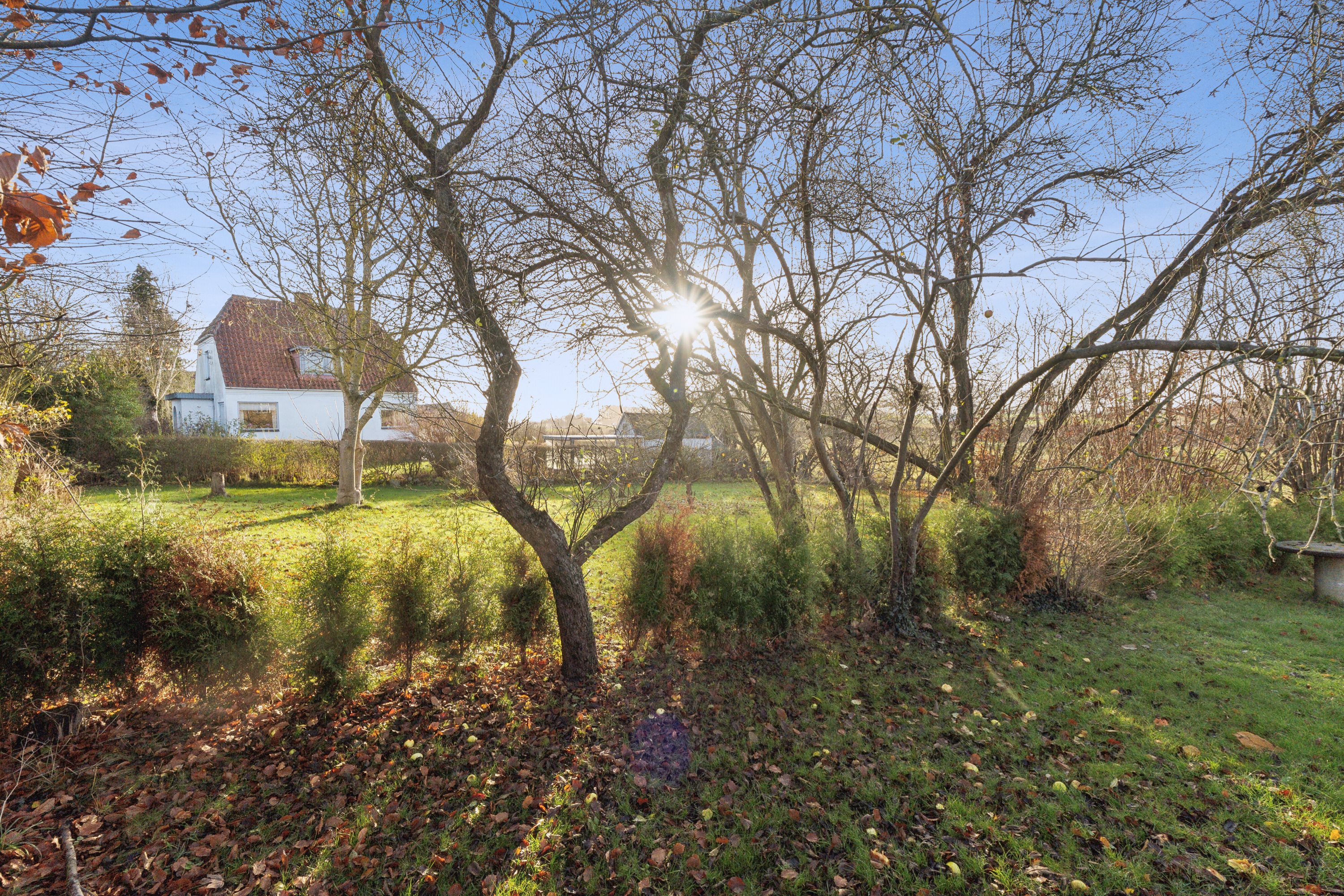 Fremhævet udsigt billede i fuldskærmstilstand. Billede af Lykkesholmvej 11A, Osted, 4320 Lejre