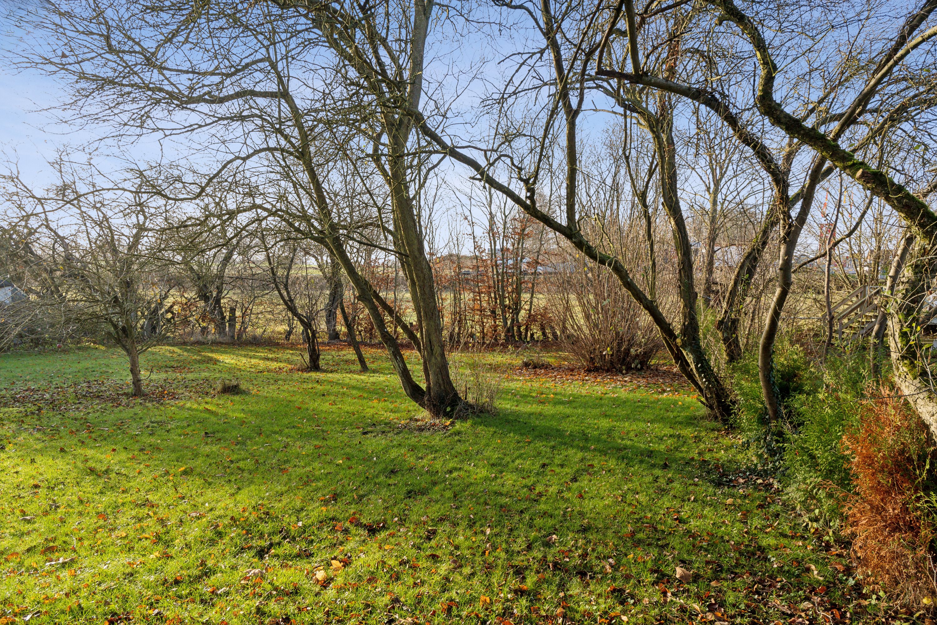 Fremhævet udsigt billede i fuldskærmstilstand. Billede af Lykkesholmvej 11A, Osted, 4320 Lejre