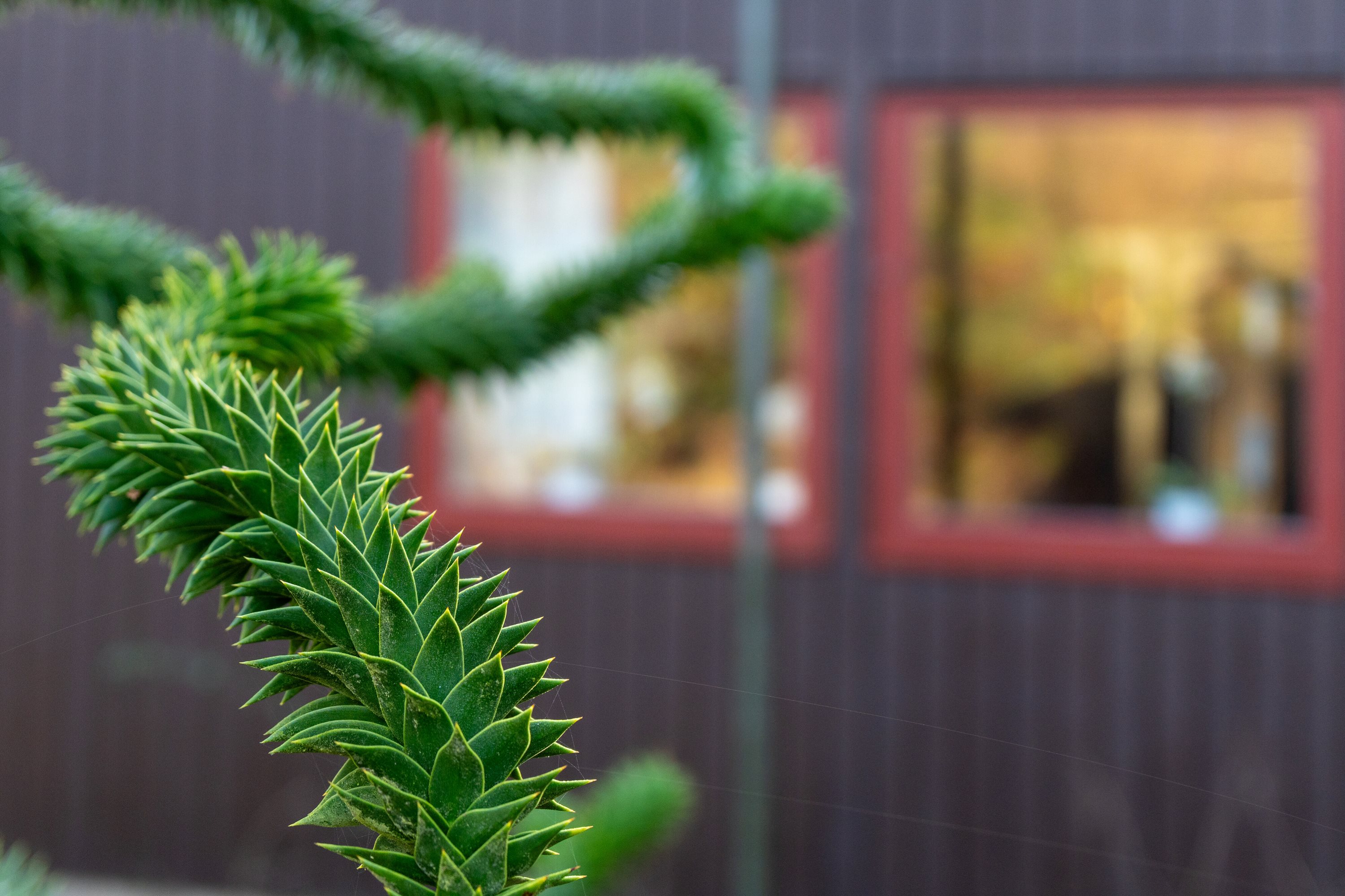 Fremhævet udendørs billede i fuldskærmstilstand. Billede af Kamillevej 18, 4750 Lundby