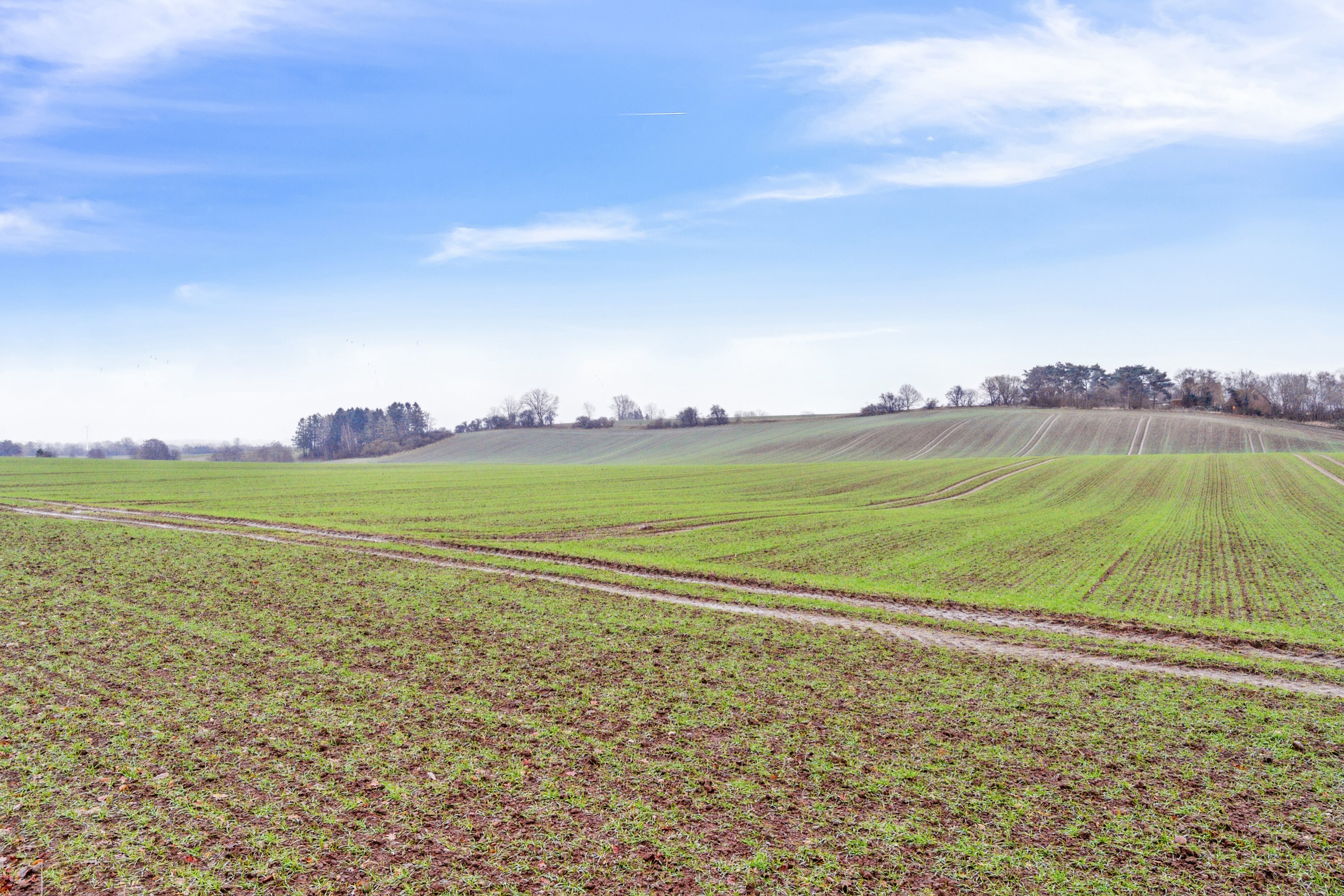 Fremhævet grunden billede i fuldskærmstilstand. Billede af Trælløsevej 70B, Skelby, 4160 Herlufmagle