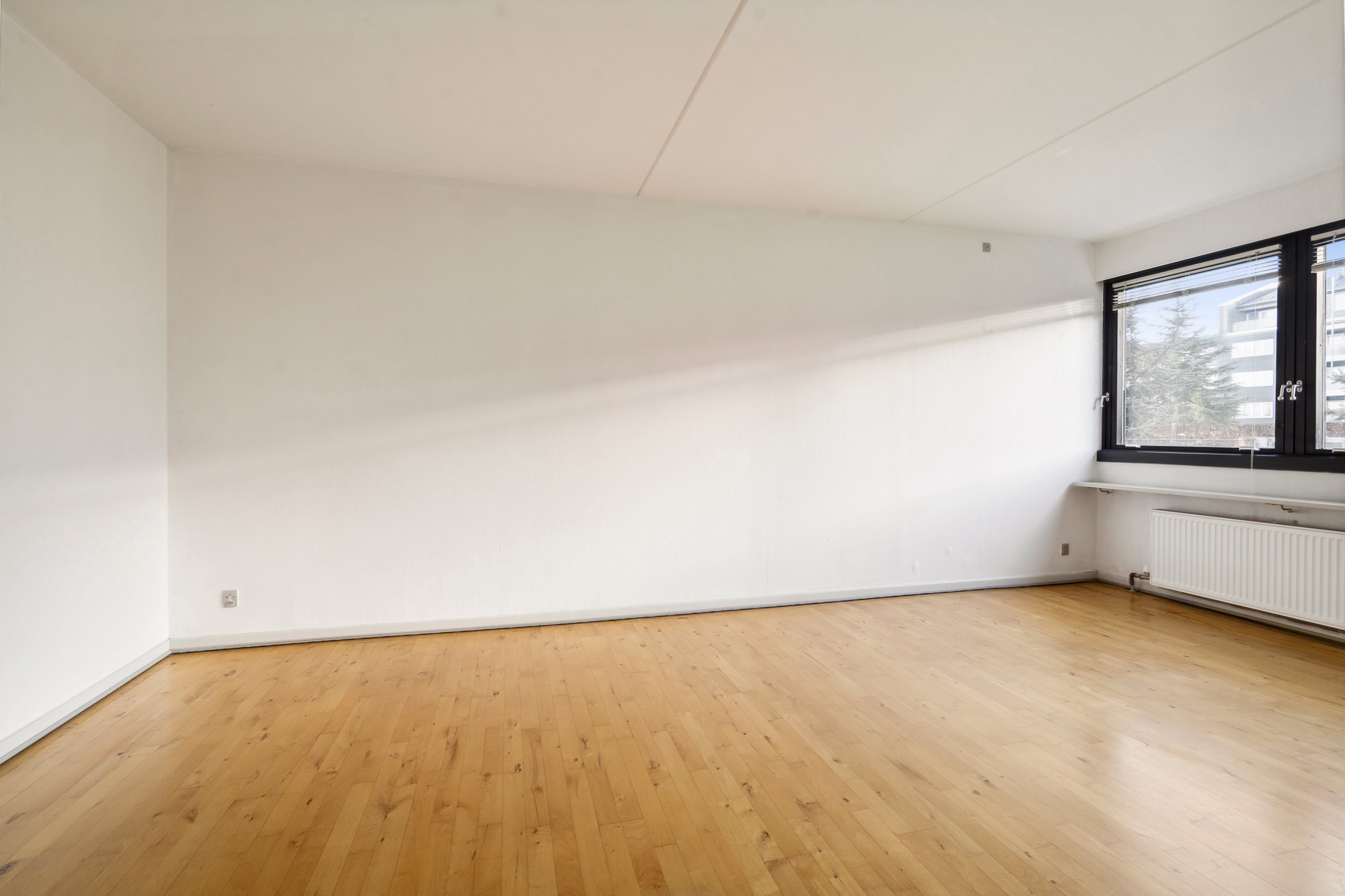 Fremhævet værelse billede i fuldskærmstilstand. Billede af Floravænget 68, st.., Dalum, 5250 Odense SV