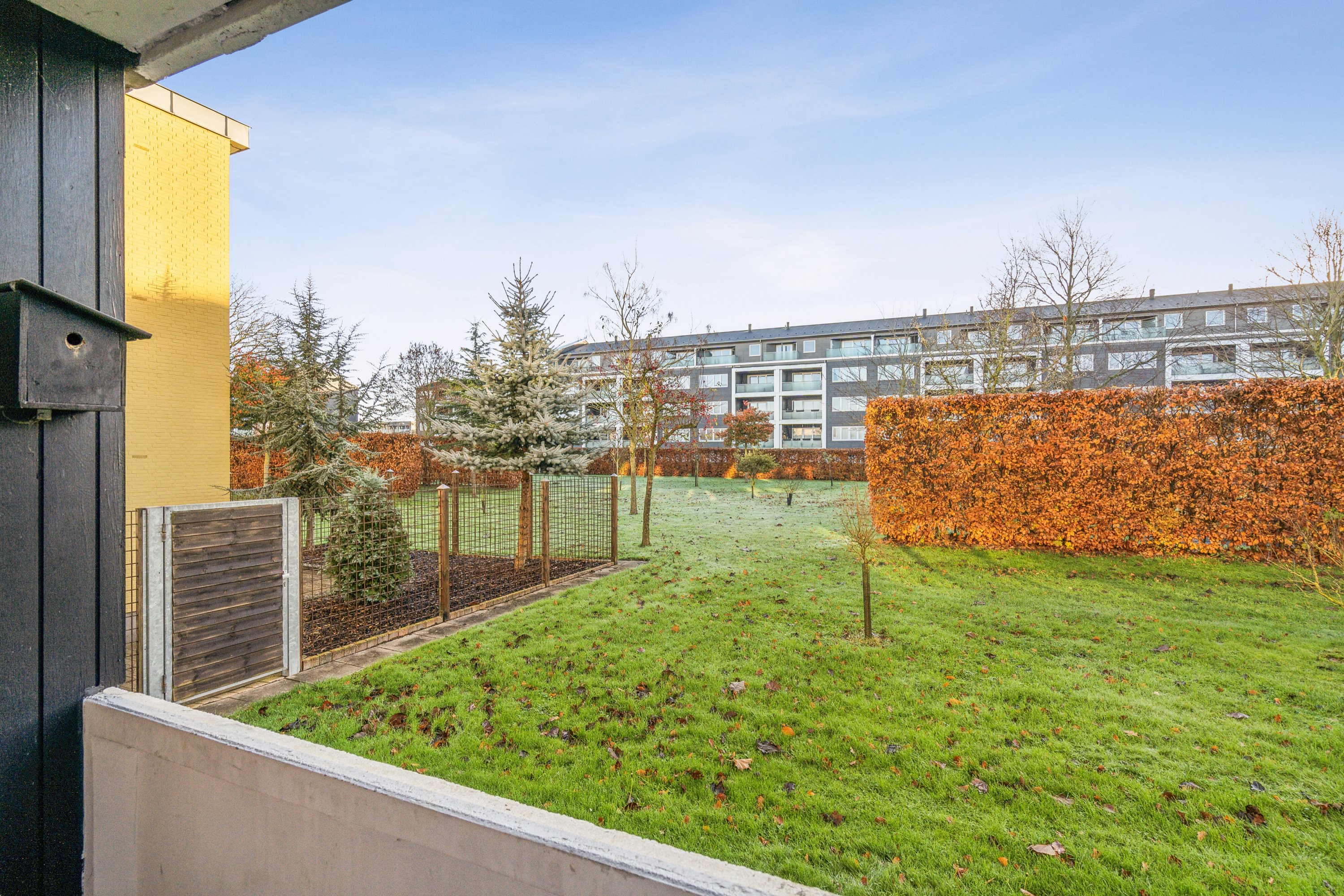 Fremhævet have billede i fuldskærmstilstand. Billede af Floravænget 68, st.., Dalum, 5250 Odense SV