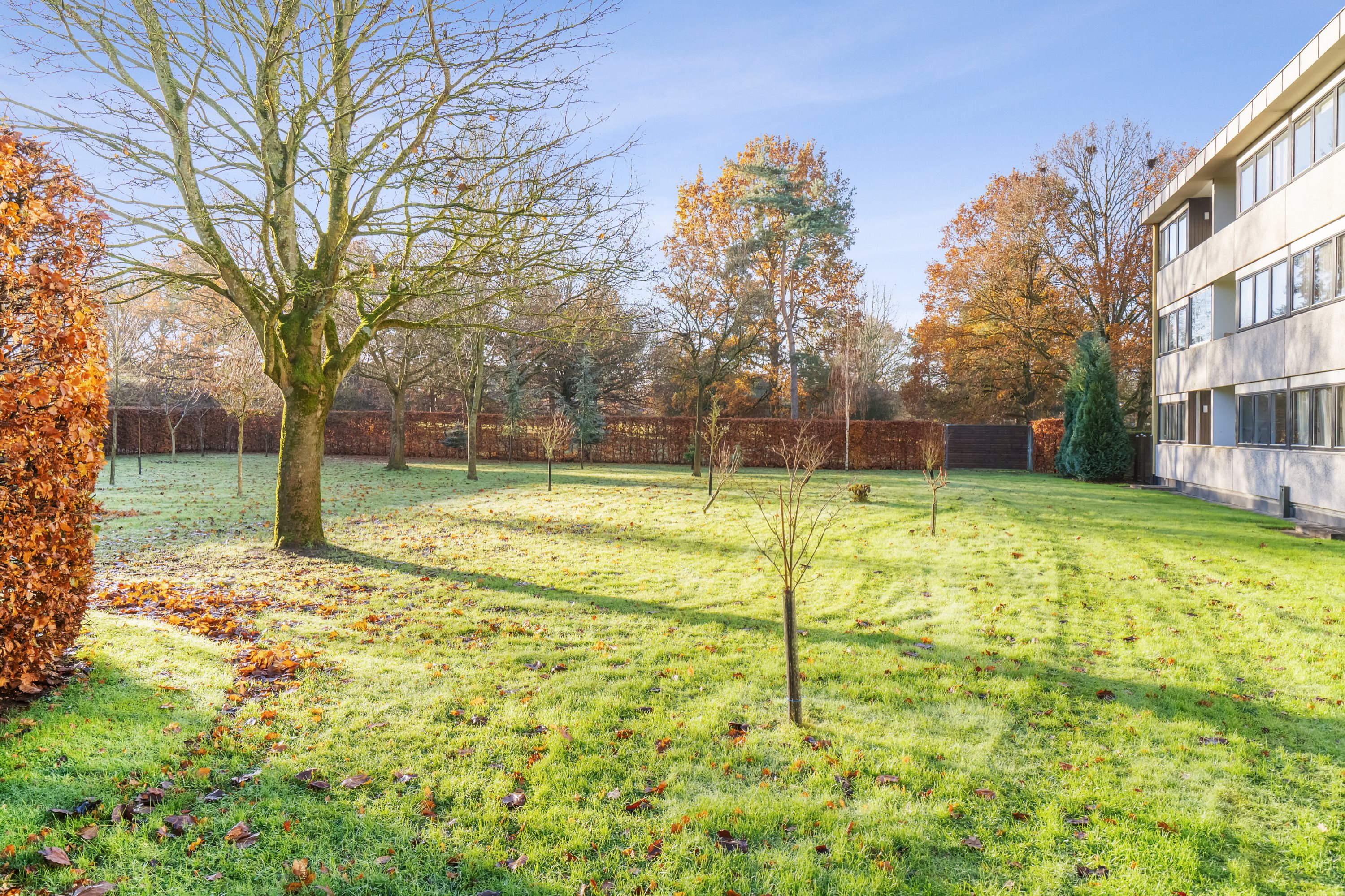 Fremhævet have billede i fuldskærmstilstand. Billede af Floravænget 68, st.., Dalum, 5250 Odense SV