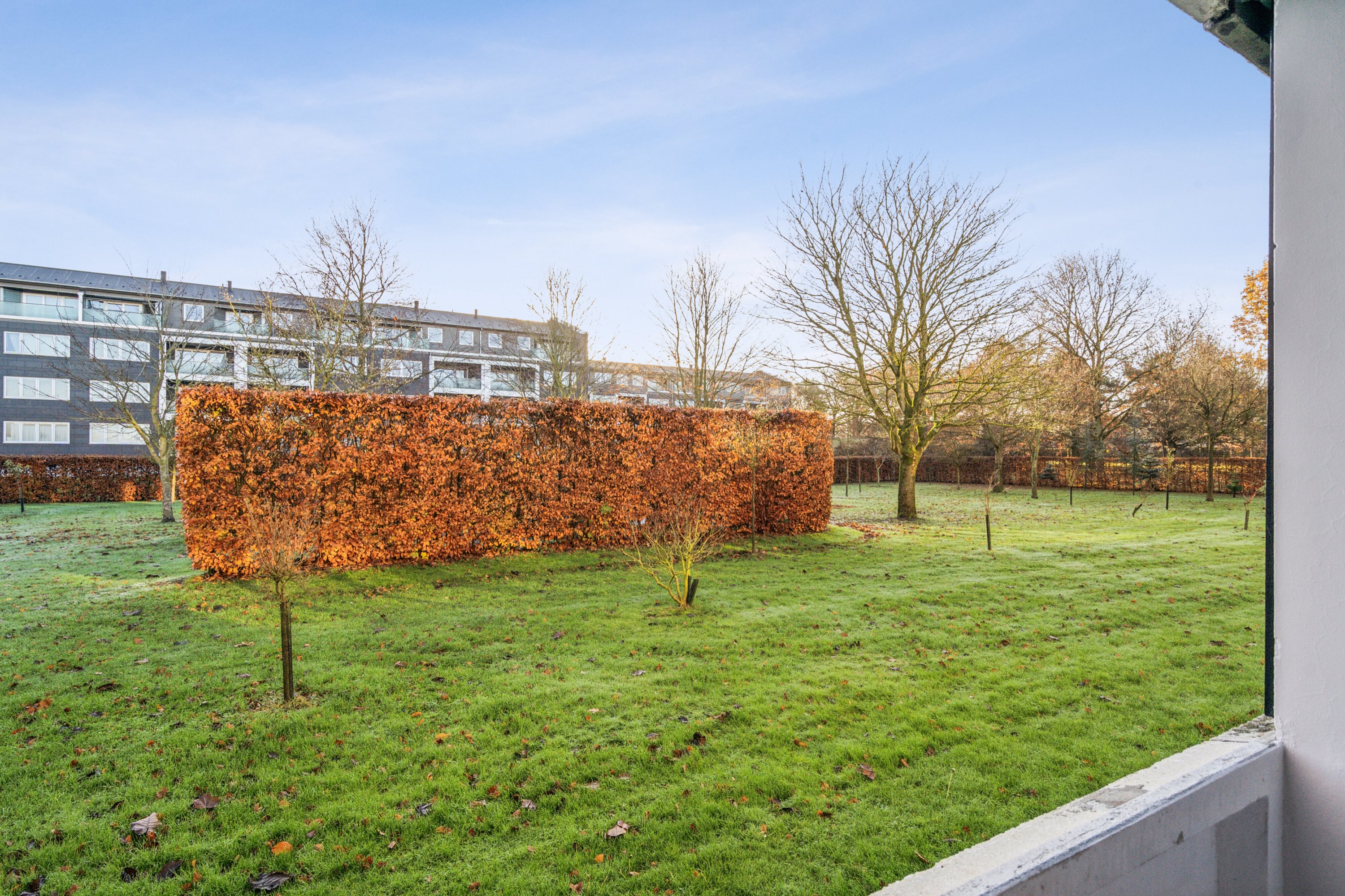 Fremhævet have billede i fuldskærmstilstand. Billede af Floravænget 68, st.., Dalum, 5250 Odense SV