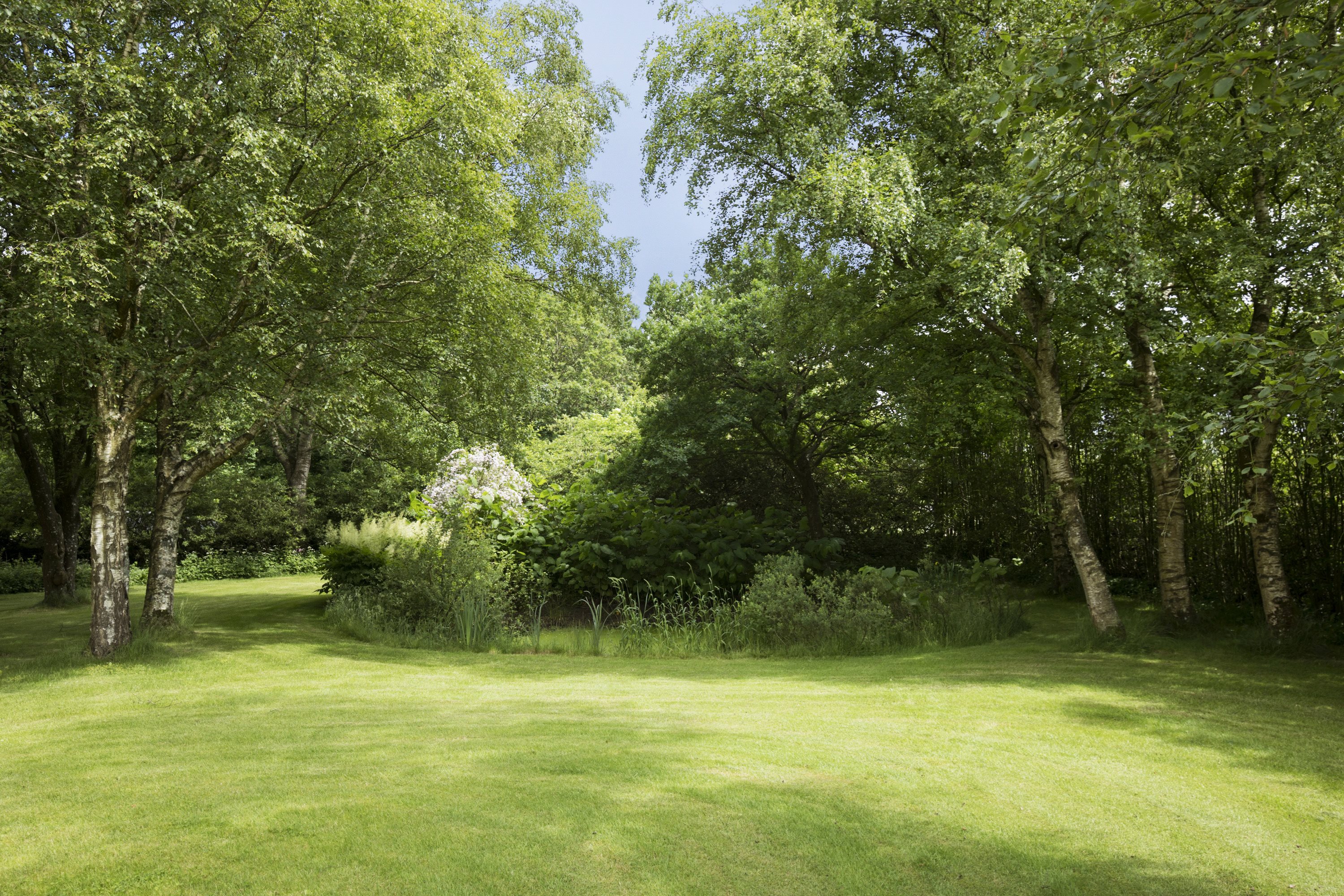 Fremhævet have billede i fuldskærmstilstand. Billede af Hvalpsundvej 20, 9610 Nørager