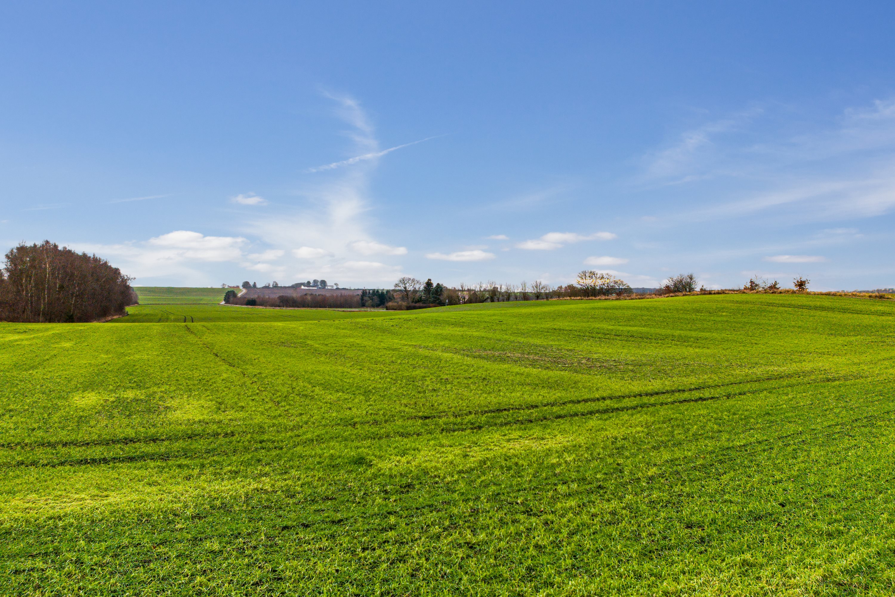 Fremhævet omgivelser billede i fuldskærmstilstand. Billede af Nordre Kærvej 15, 8444 Balle
