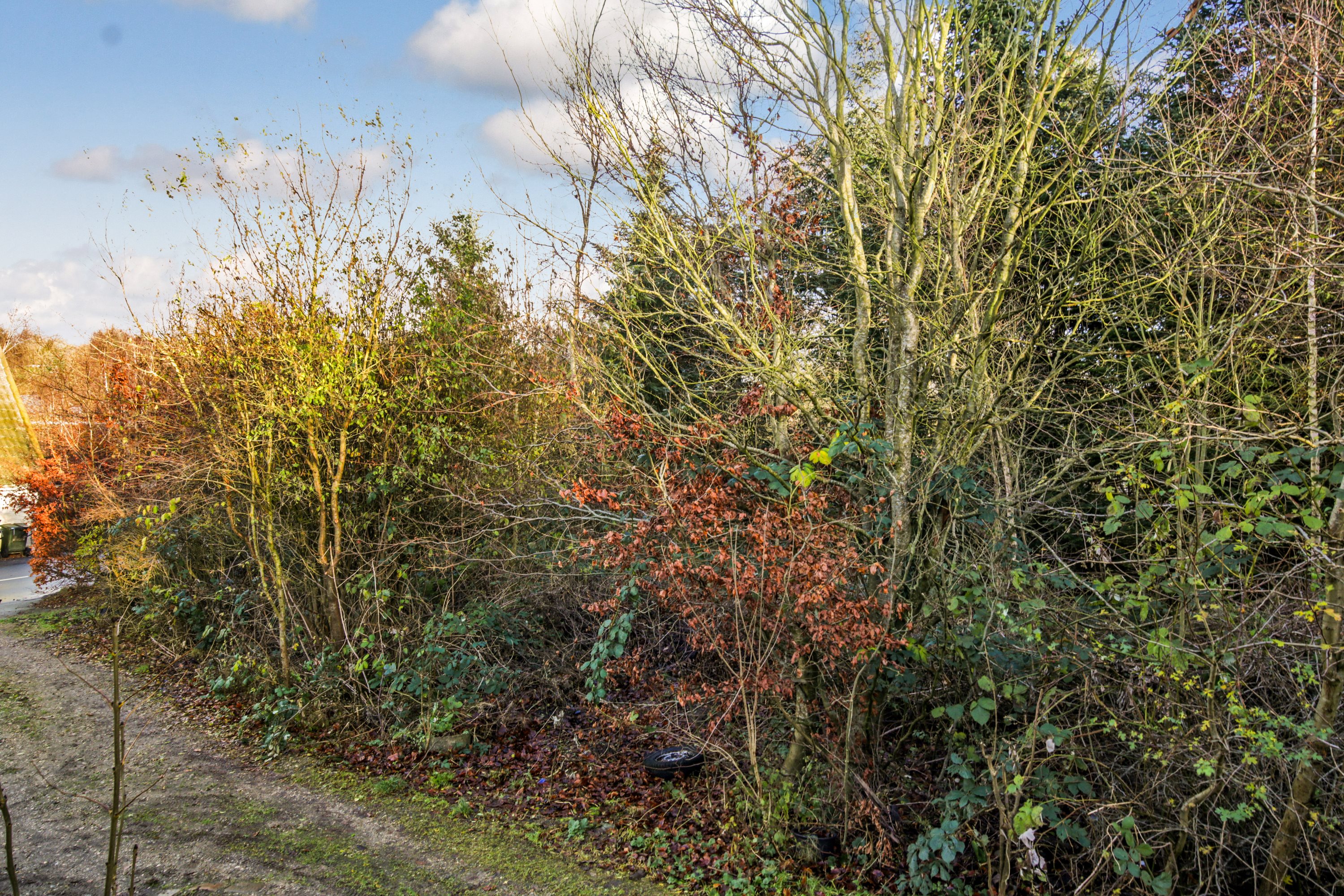 Fremhævet  billede i fuldskærmstilstand. Billede af Balevej 13A, Ommestrup, 8544 Mørke