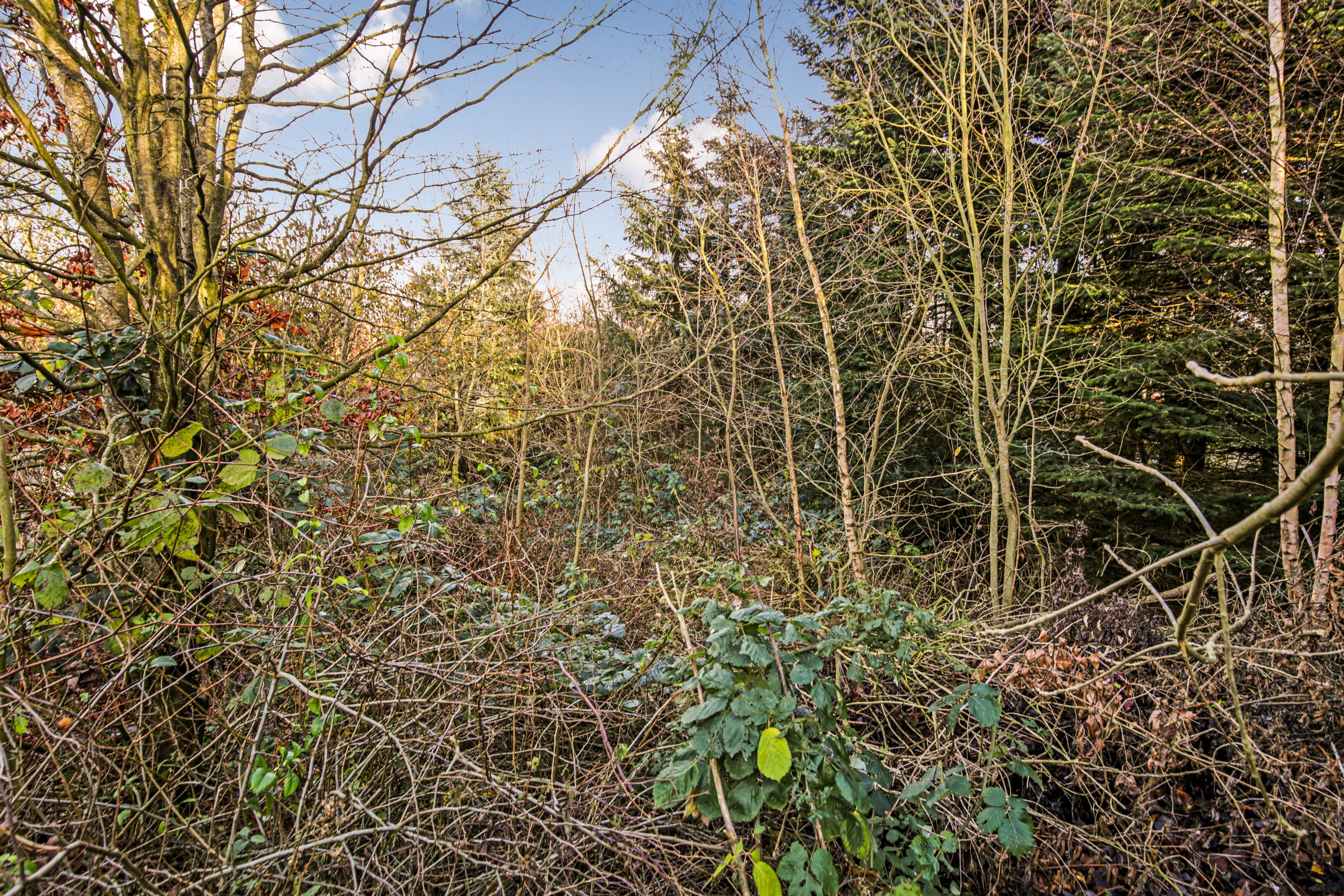 Fremhævet  billede i fuldskærmstilstand. Billede af Balevej 13A, Ommestrup, 8544 Mørke