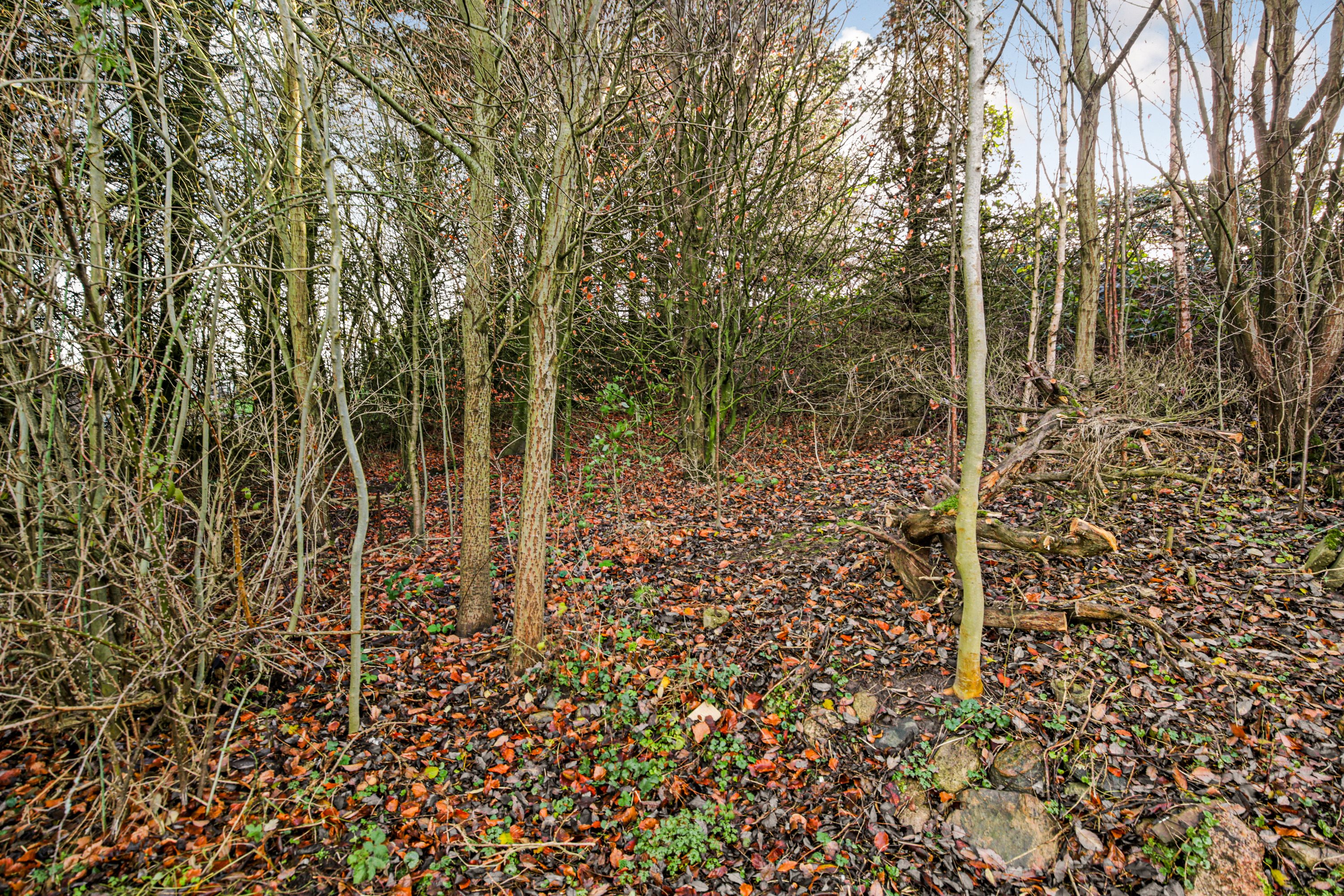 Fremhævet  billede i fuldskærmstilstand. Billede af Balevej 13A, Ommestrup, 8544 Mørke