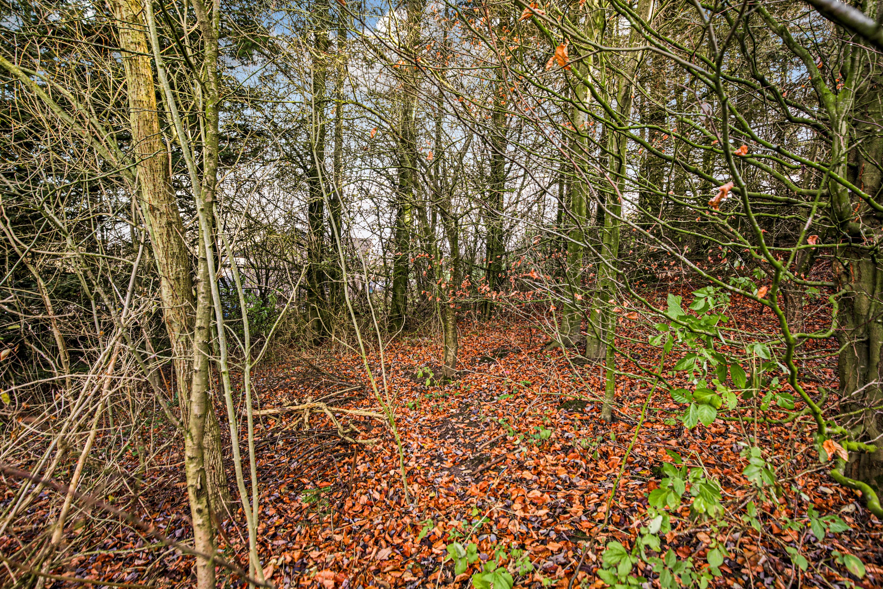 Miniaturebillede 2: . Billede af Balevej 13A, Ommestrup, 8544 Mørke