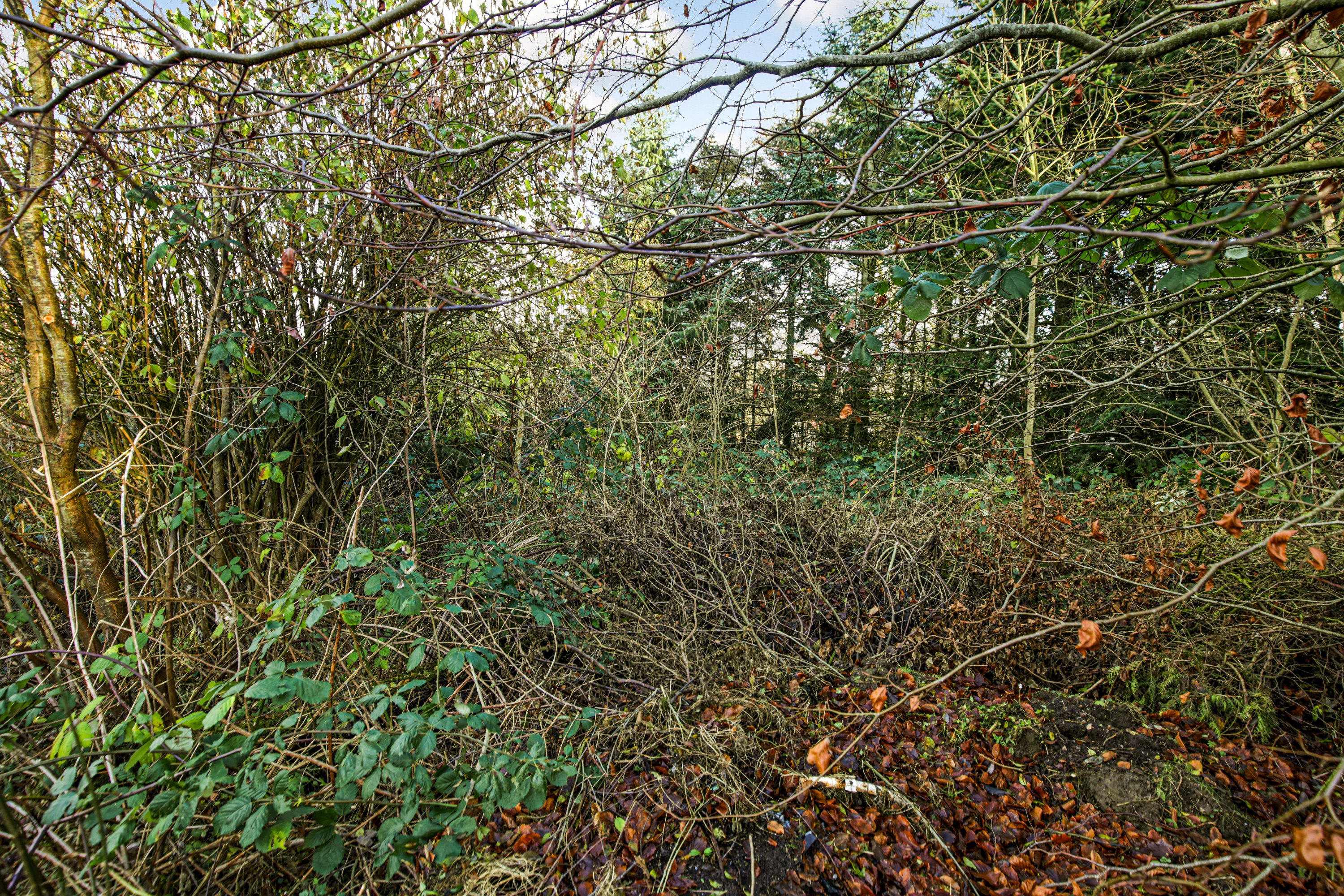 Fremhævet  billede i fuldskærmstilstand. Billede af Balevej 13A, Ommestrup, 8544 Mørke