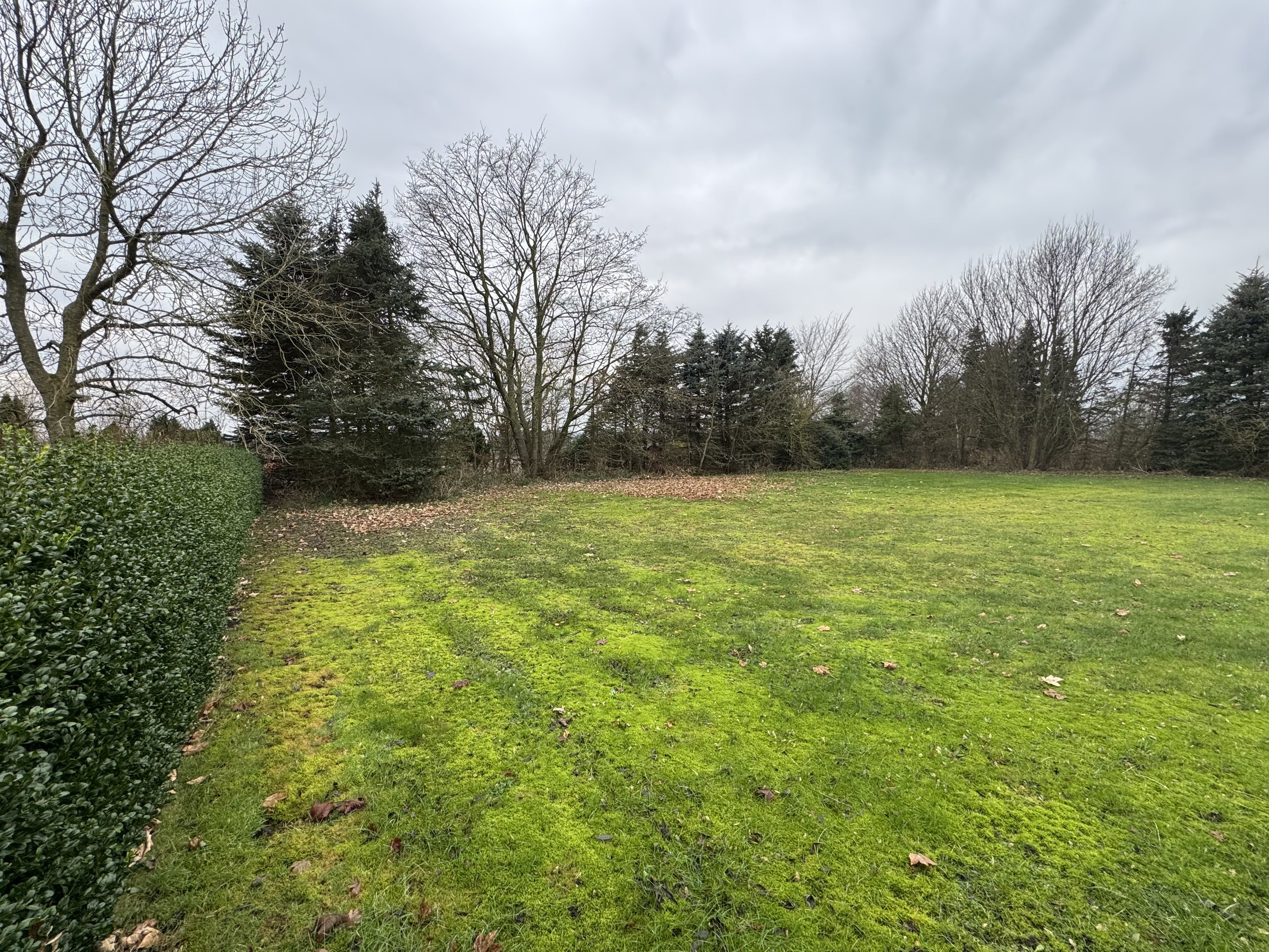 Miniaturebillede 1: grund. Billede af Højmarksvej 20, Thise, 9700 Brønderslev