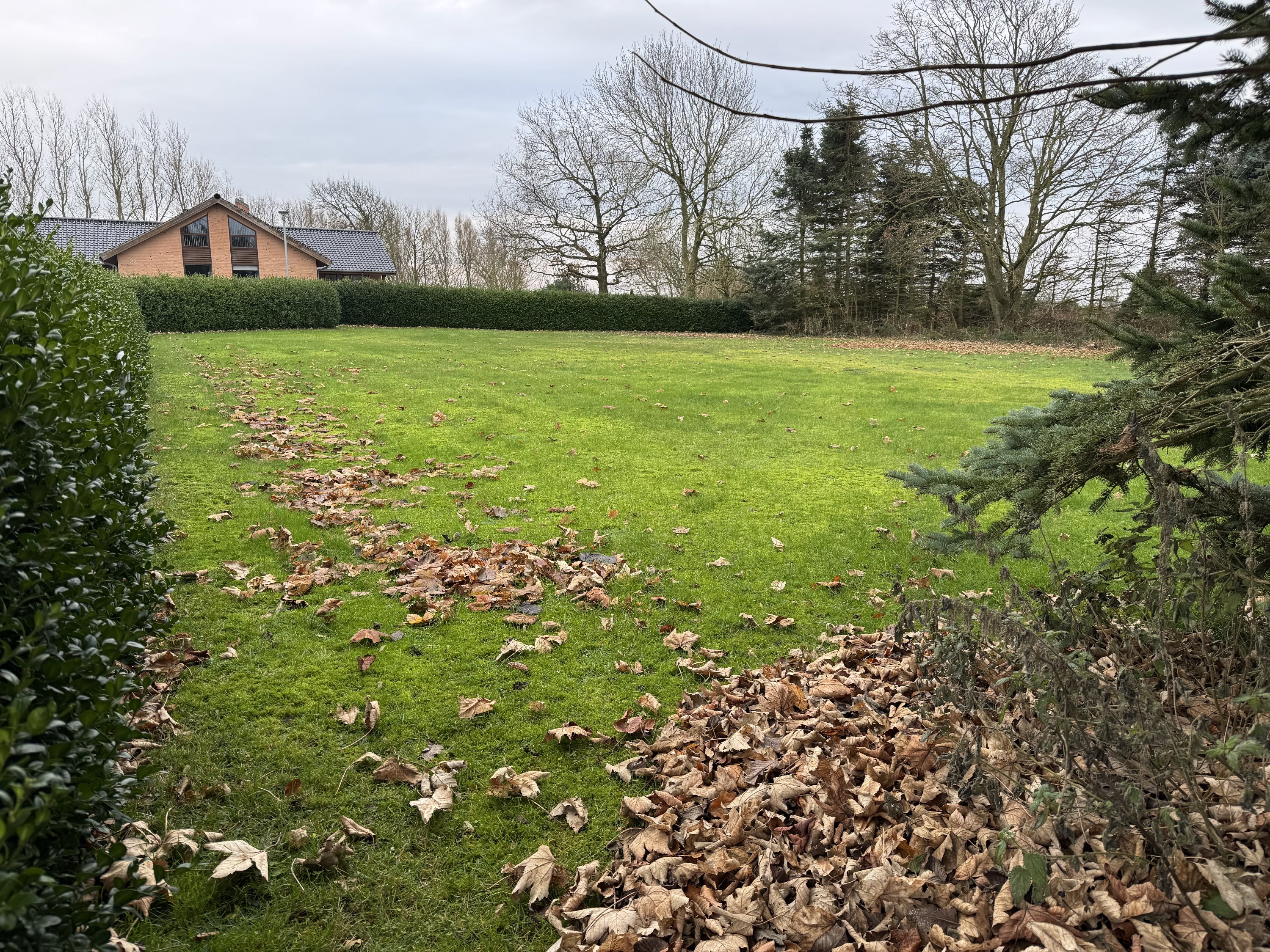 Fremhævet grund billede i fuldskærmstilstand. Billede af Højmarksvej 20, Thise, 9700 Brønderslev