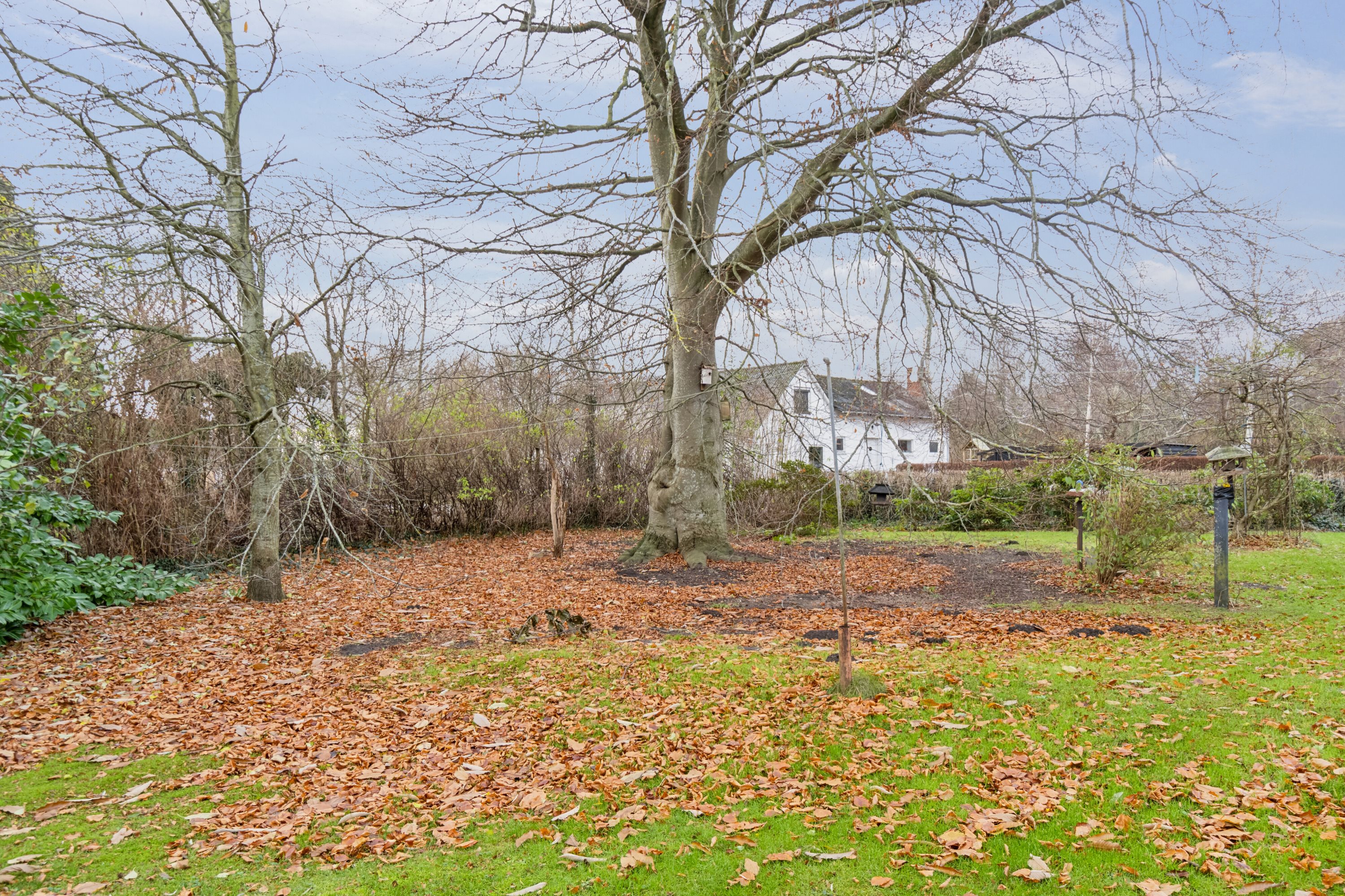 Fremhævet udendørs billede i fuldskærmstilstand. Billede af Drøsselbjergvej 31, Drøsselbjerg, 4200 Slagelse