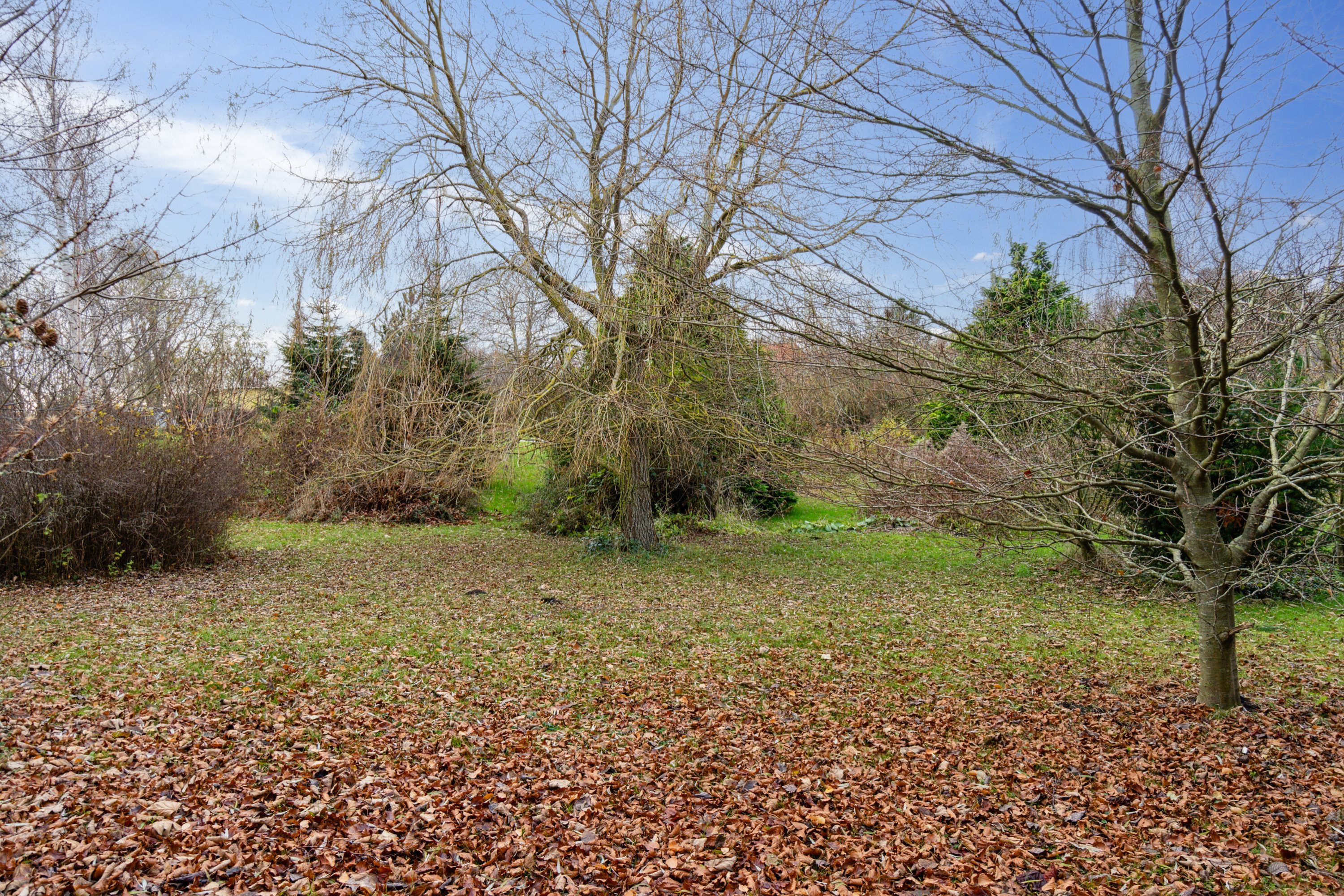 Fremhævet udendørs billede i fuldskærmstilstand. Billede af Drøsselbjergvej 31, Drøsselbjerg, 4200 Slagelse