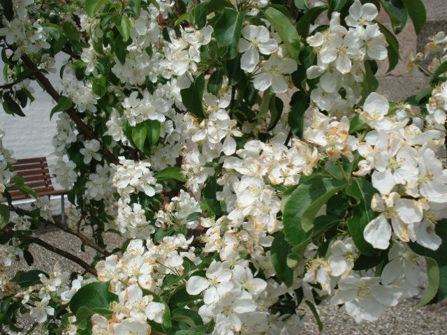 Fremhævet andet billede i fuldskærmstilstand. Billede af Bækgaardsvej 12, Gl Hvam, 9620 Aalestrup