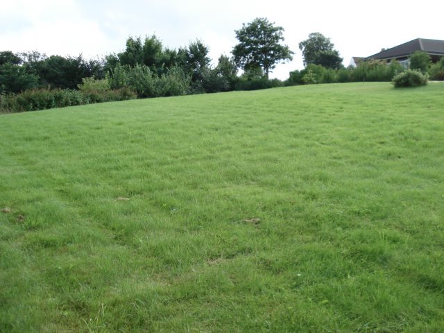 Miniaturebillede 1: grund. Billede af Bækgaardsvej 12, Gl Hvam, 9620 Aalestrup