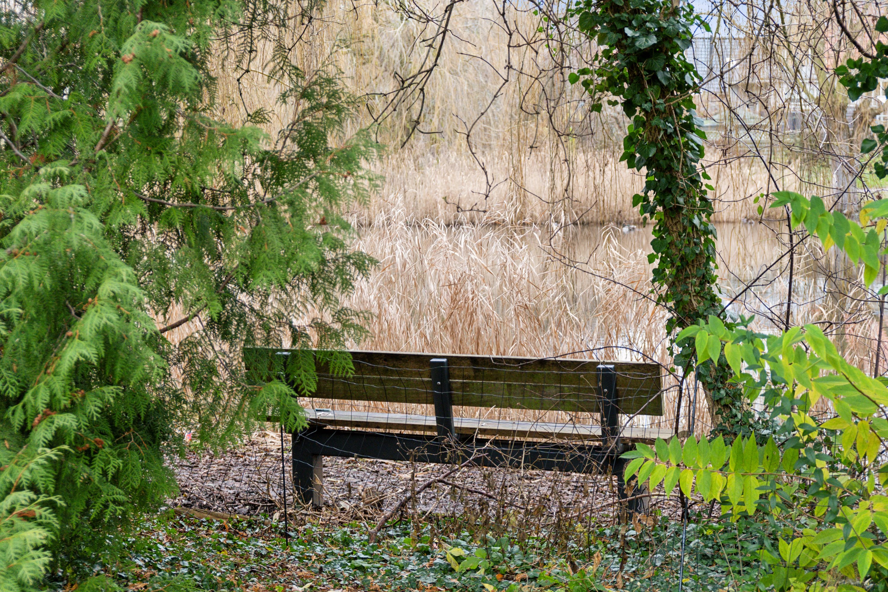 Fremhævet udendørs billede i fuldskærmstilstand. Billede af Svanevej 42, 5000 Odense C