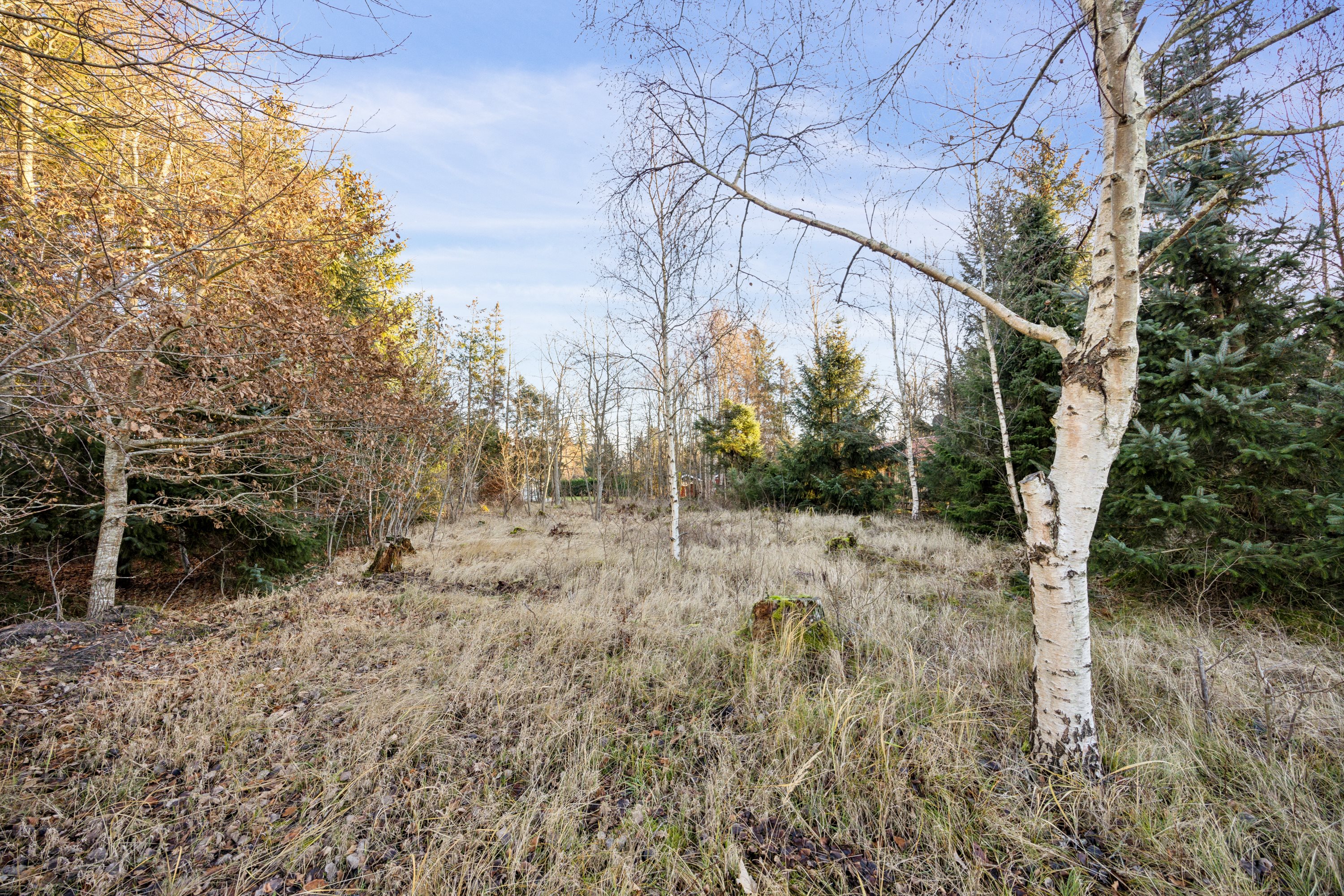 Miniaturebillede 1: grunden. Billede af Lindeparken 15, 9370 Hals