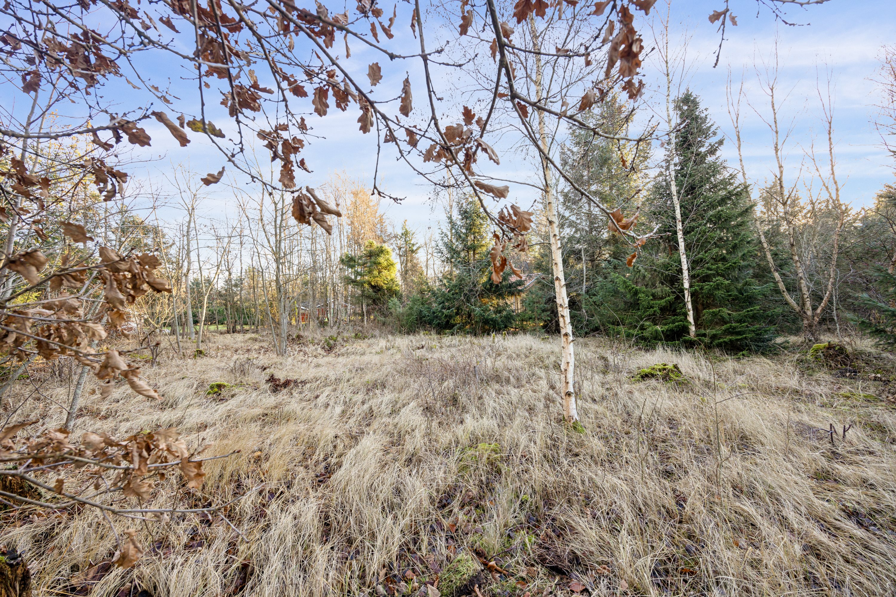 Miniaturebillede 2: grunden. Billede af Lindeparken 15, 9370 Hals