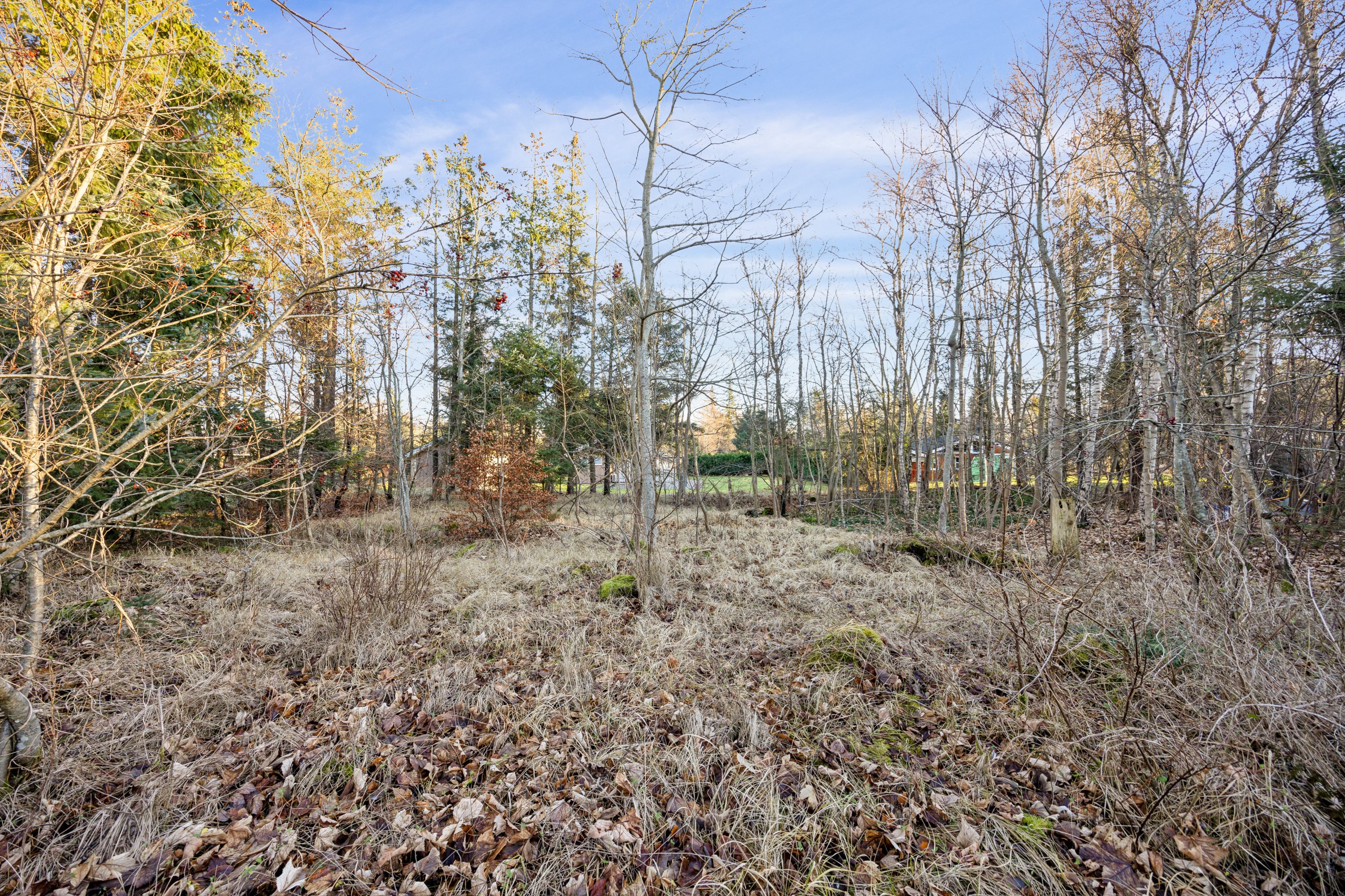 Fremhævet grunden billede i fuldskærmstilstand. Billede af Lindeparken 15, 9370 Hals