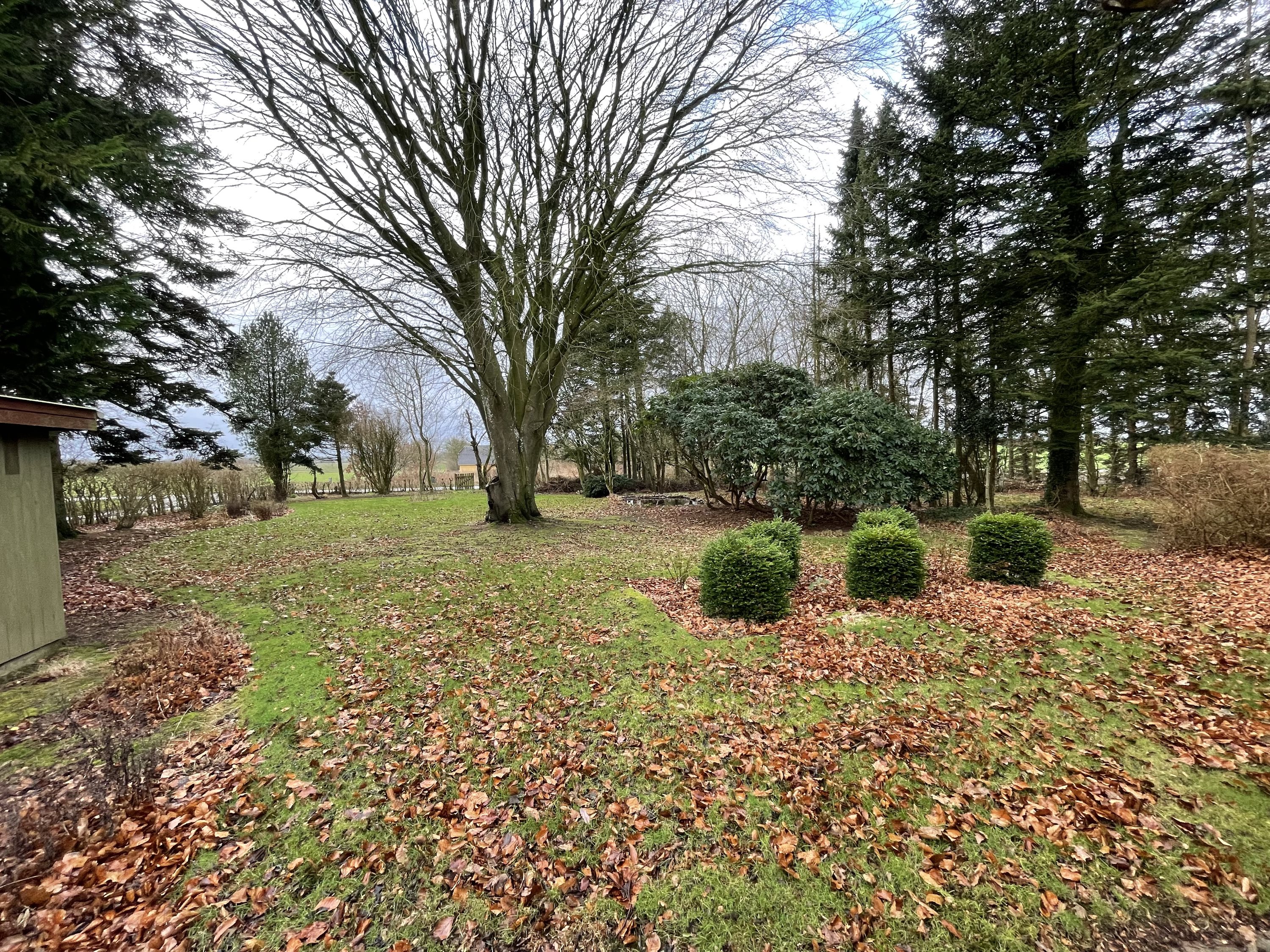 Fremhævet  billede i fuldskærmstilstand. Billede af Hestkærvej 17, Finderup, 6900 Skjern