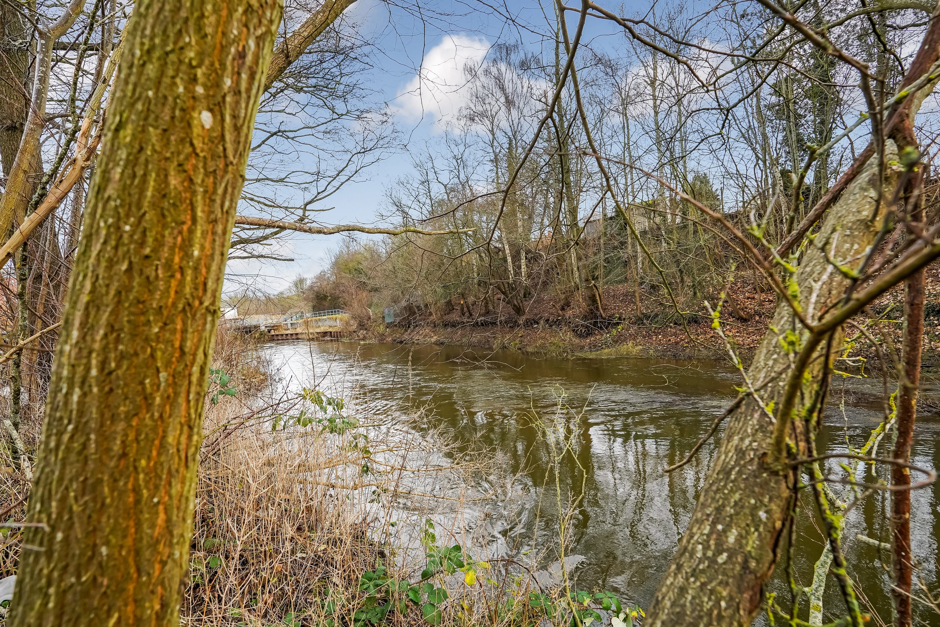 Fremhævet  billede i fuldskærmstilstand. Billede af Nøkkerosen 11, Dalum, 5250 Odense SV