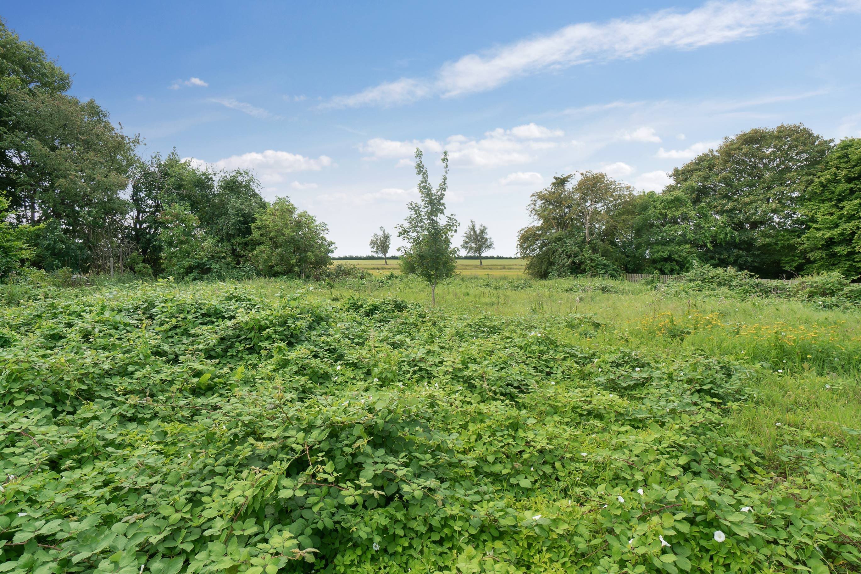 Fremhævet  billede i fuldskærmstilstand. Billede af Holtug Linievej 18C, 4660 Store Heddinge