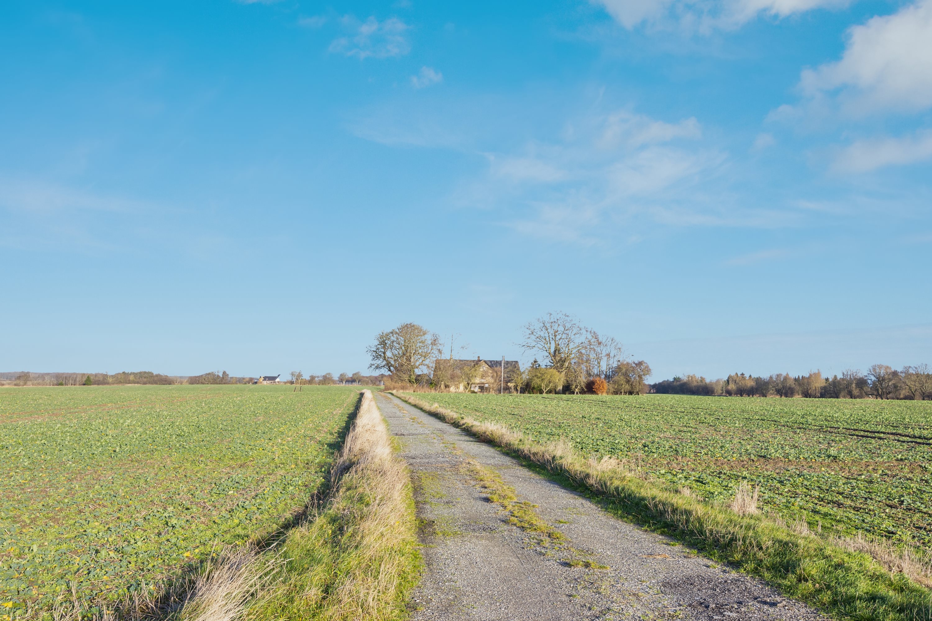 Fremhævet omgivelser billede i fuldskærmstilstand. Billede af Pilevej 7, Magleby, 4672 Klippinge