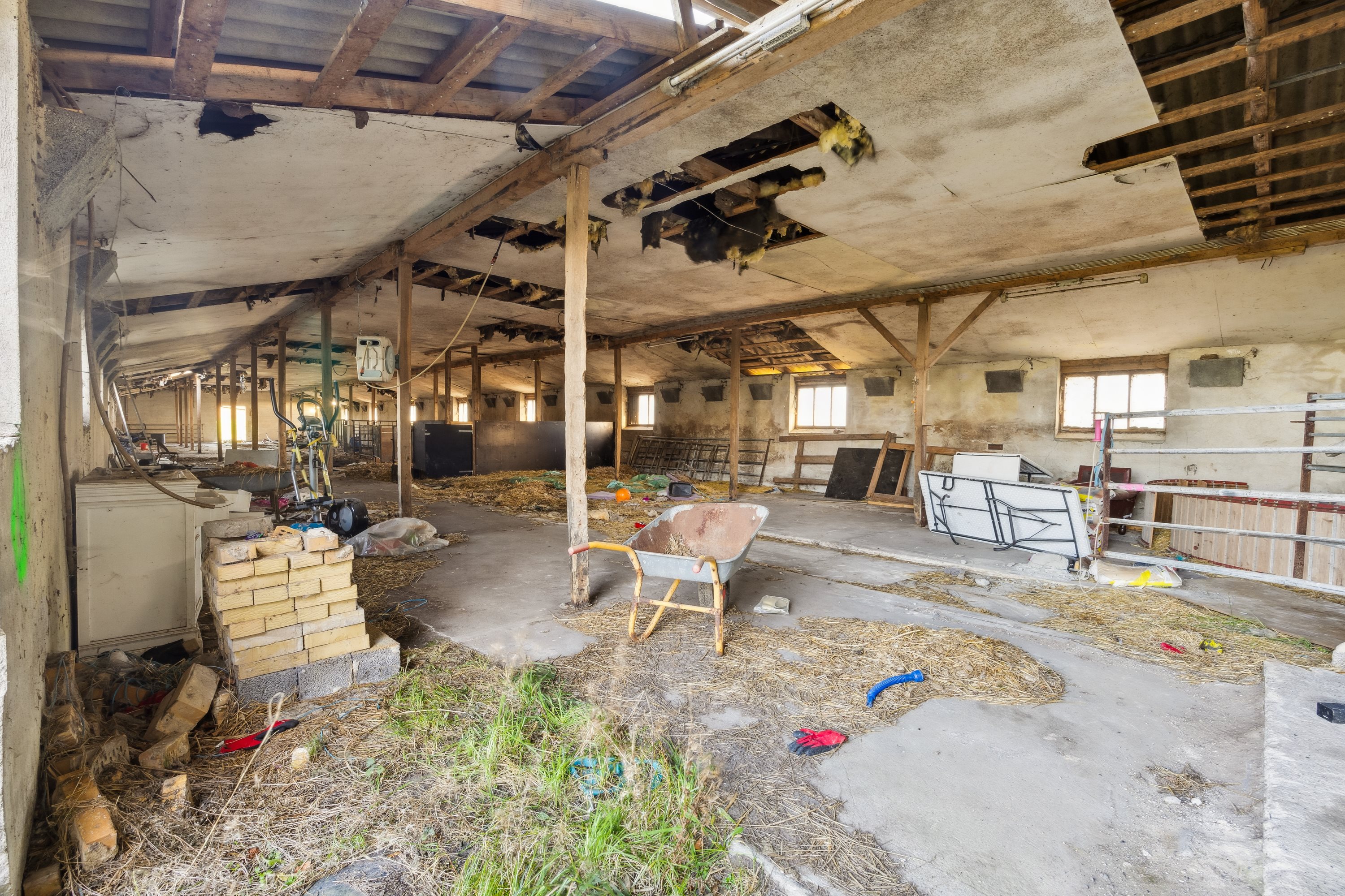 Fremhævet stald billede i fuldskærmstilstand. Billede af Pilevej 7, Magleby, 4672 Klippinge