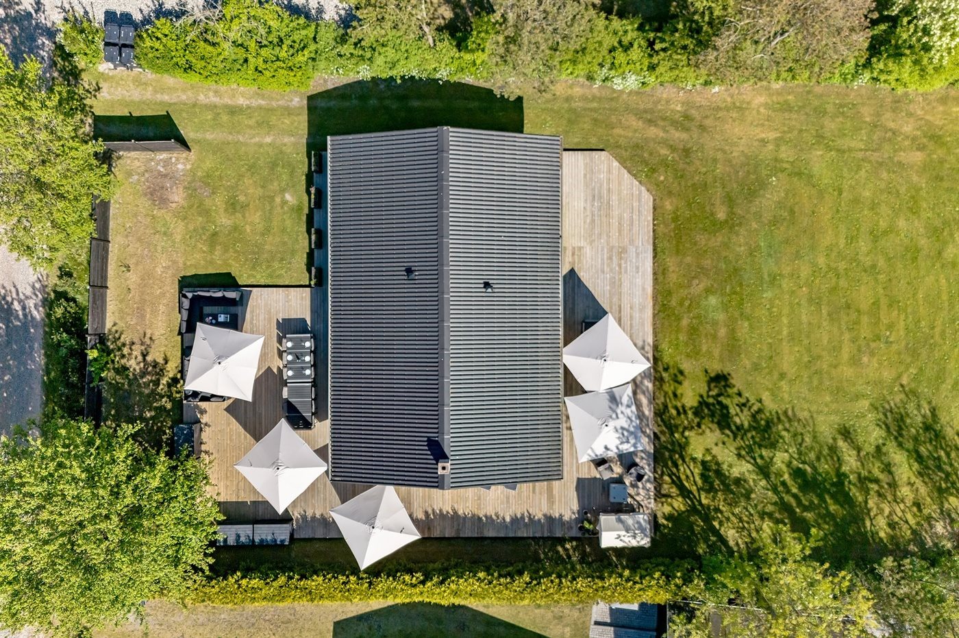 Fremhævet  billede i fuldskærmstilstand. Billede af Fruerlund Plantage 2, Fruerlund, 9560 Hadsund