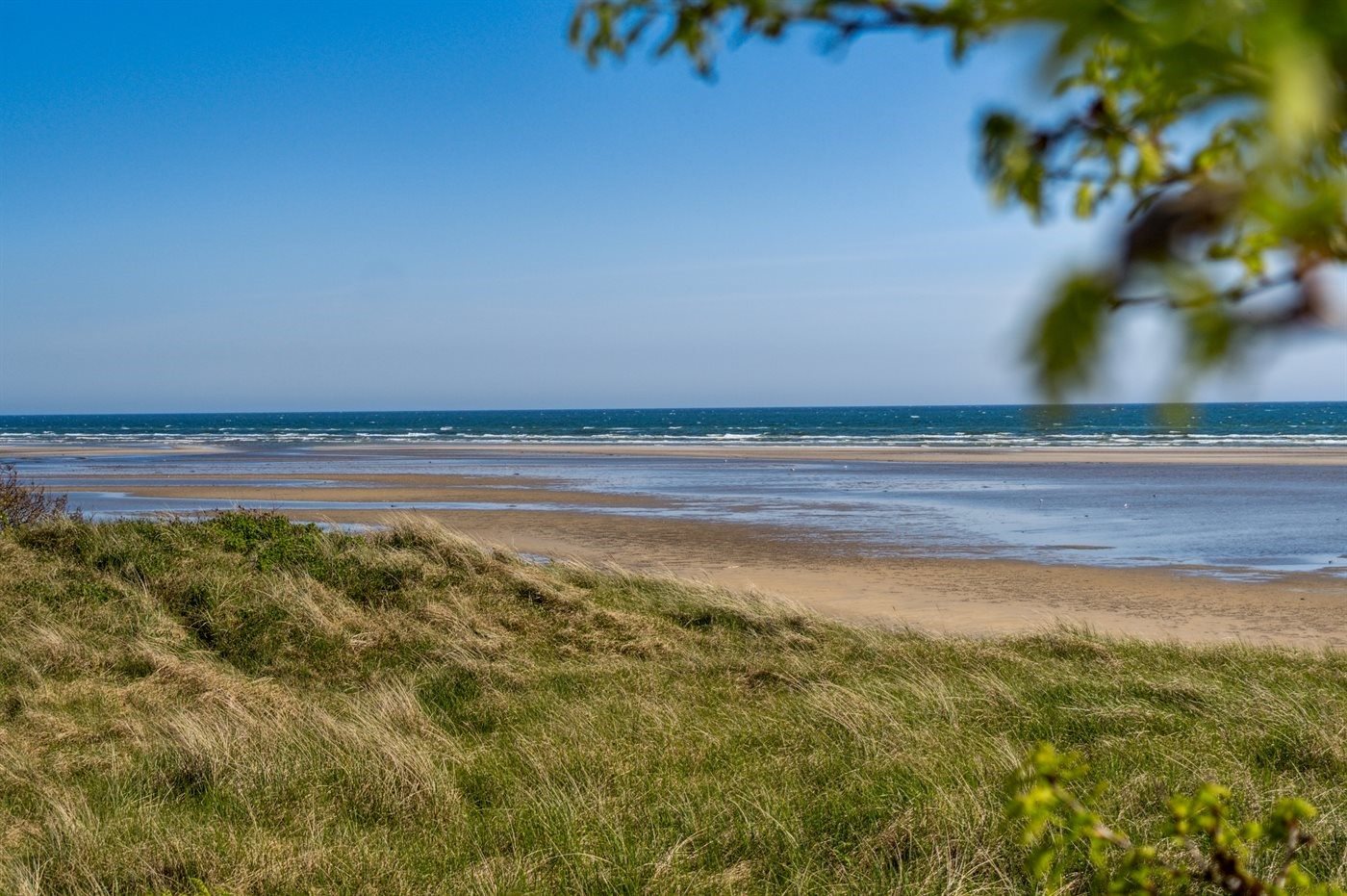 Fremhævet  billede i fuldskærmstilstand. Billede af Fruerlund Plantage 2, Fruerlund, 9560 Hadsund