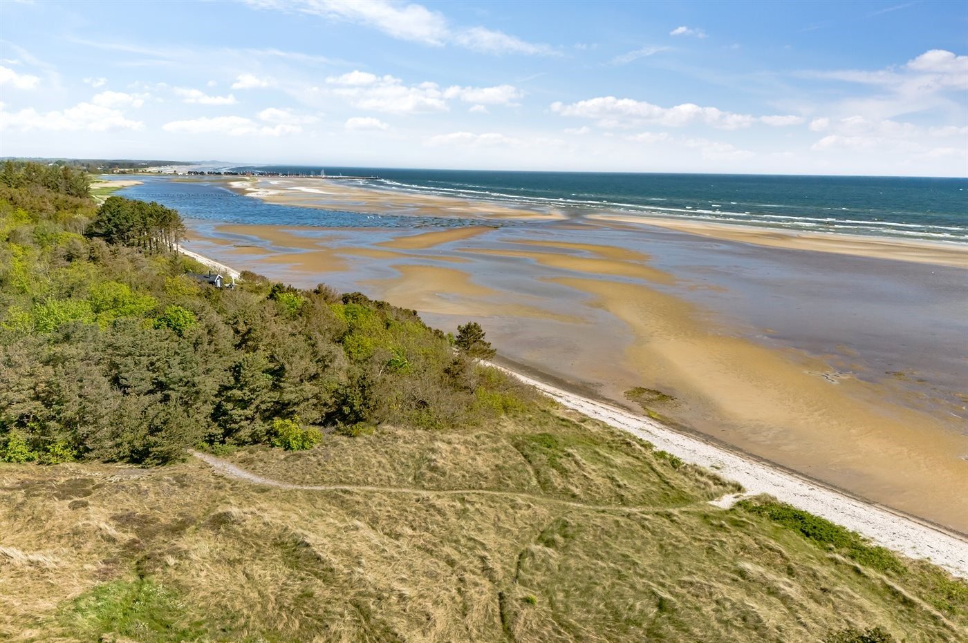 Fremhævet  billede i fuldskærmstilstand. Billede af Fruerlund Plantage 2, Fruerlund, 9560 Hadsund