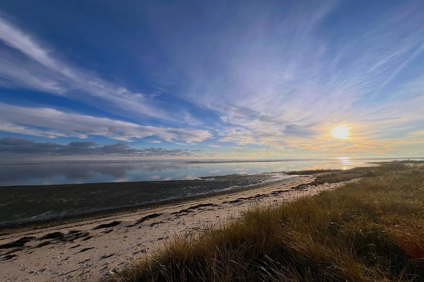 Fremhævet  billede i fuldskærmstilstand. Billede af Fruerlund Plantage 2, Fruerlund, 9560 Hadsund